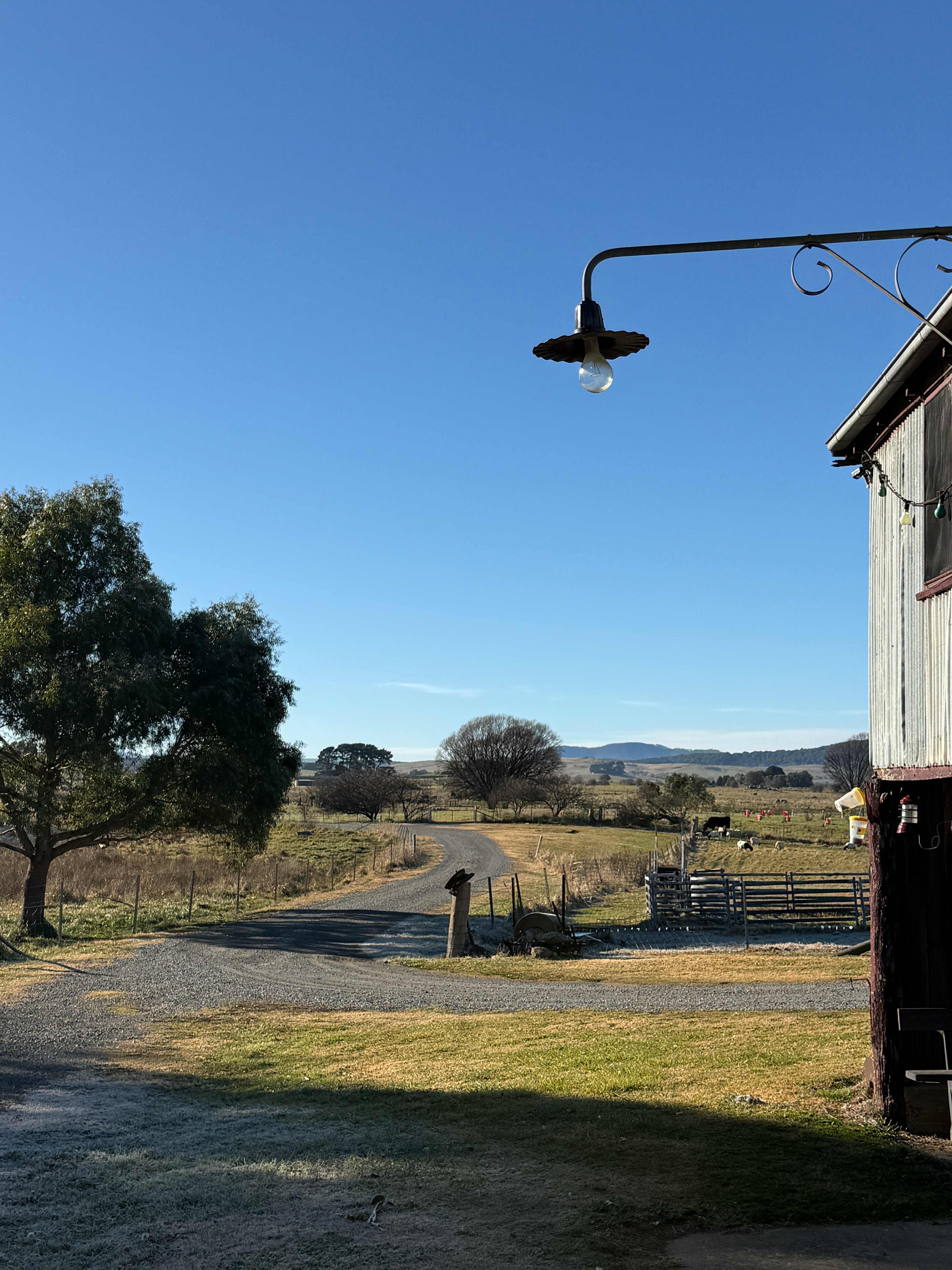 Woolshed and surrounding hills.