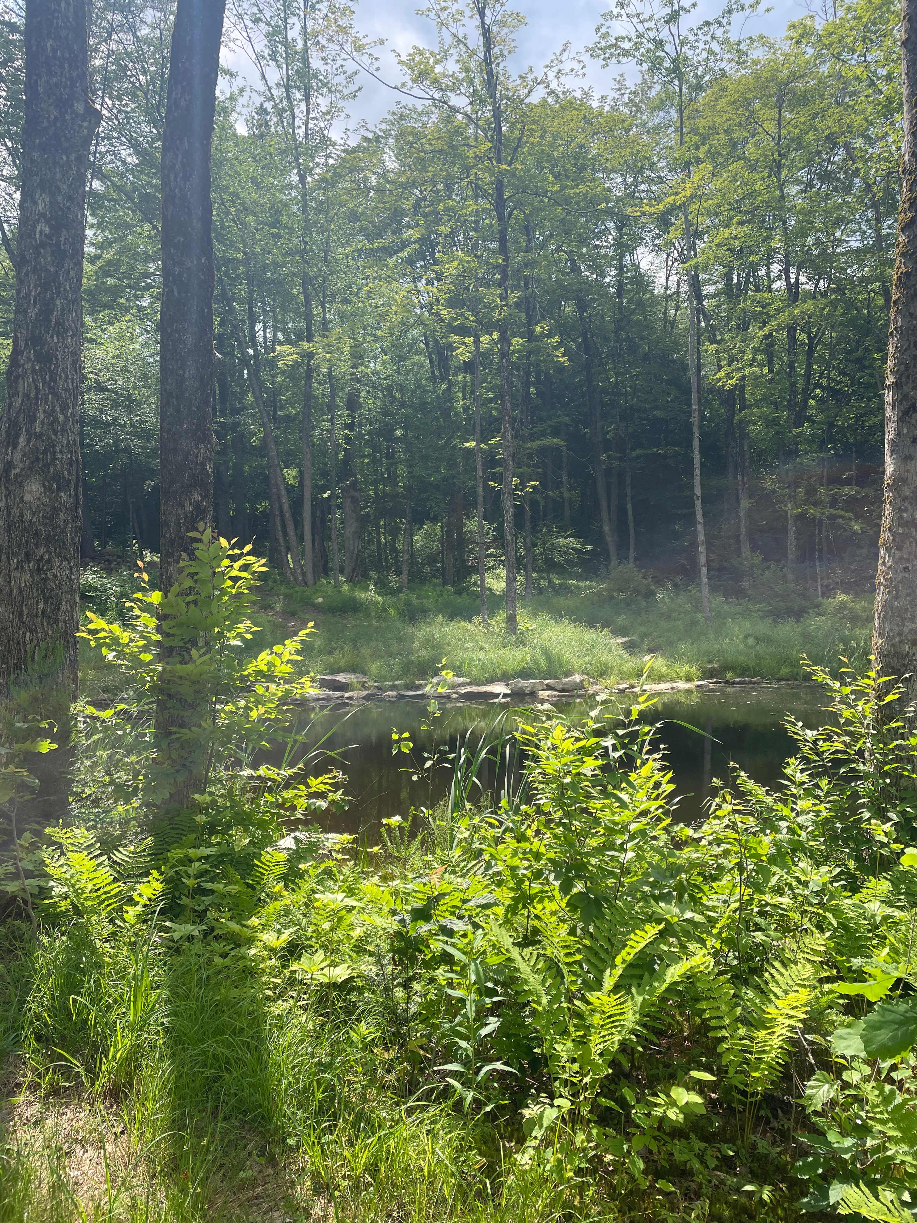 Secluded Stays At Quill Nook Farm