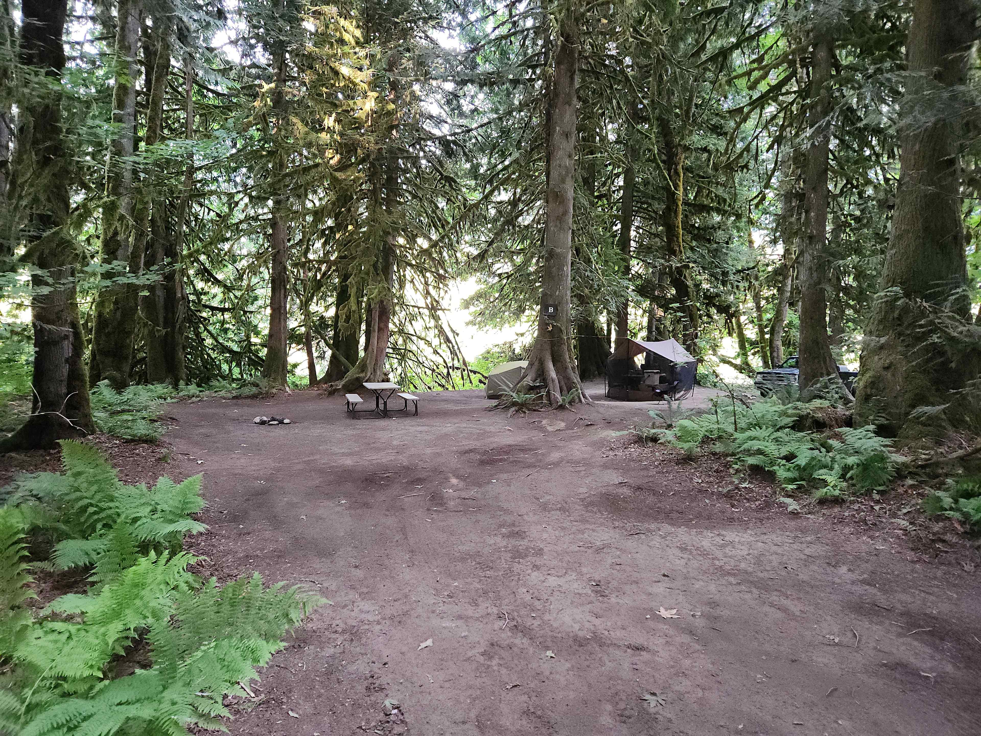 View of Site C (right side) from site B's driveway