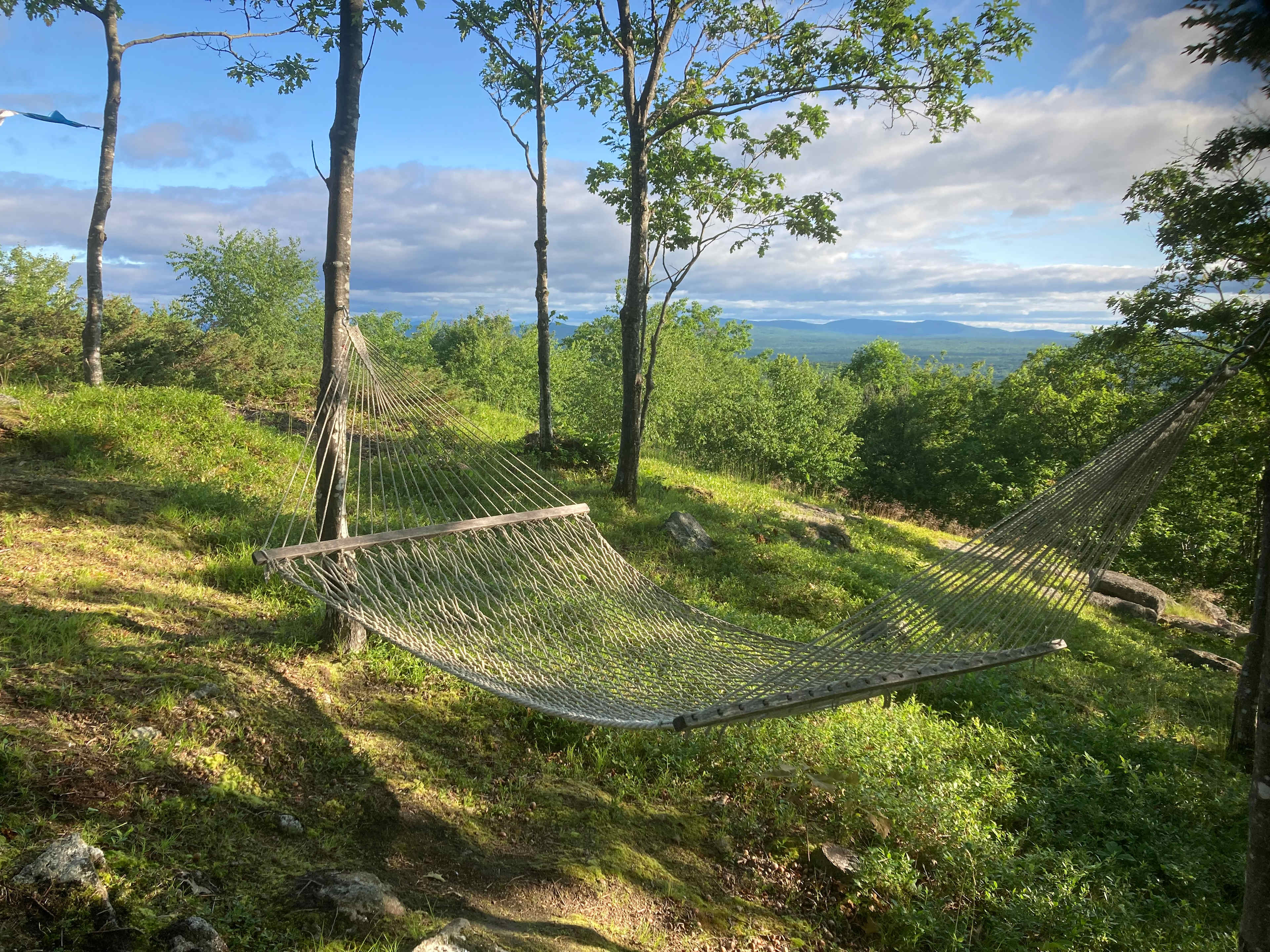 Hussey Mountain Tree Farm
