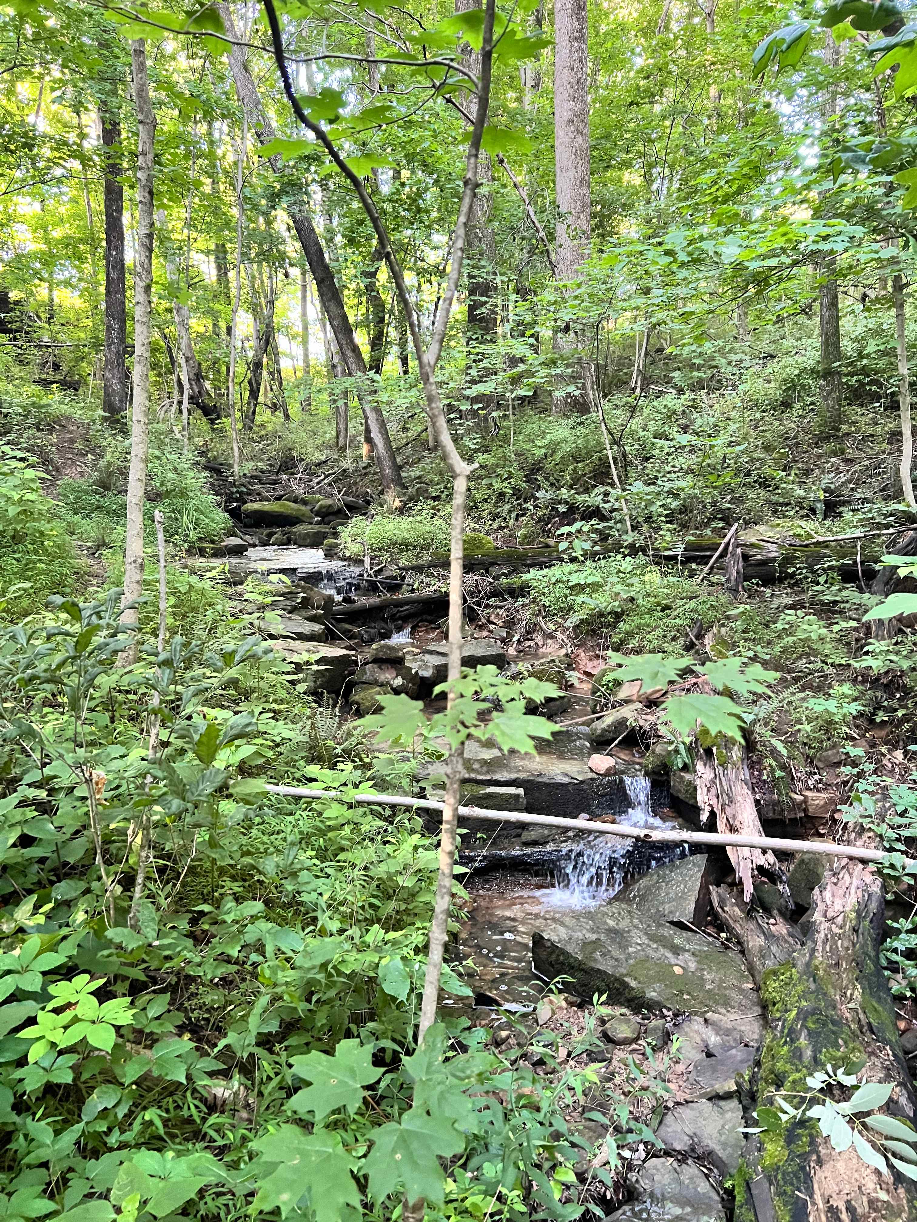 Trail below leads to a pretty creek.