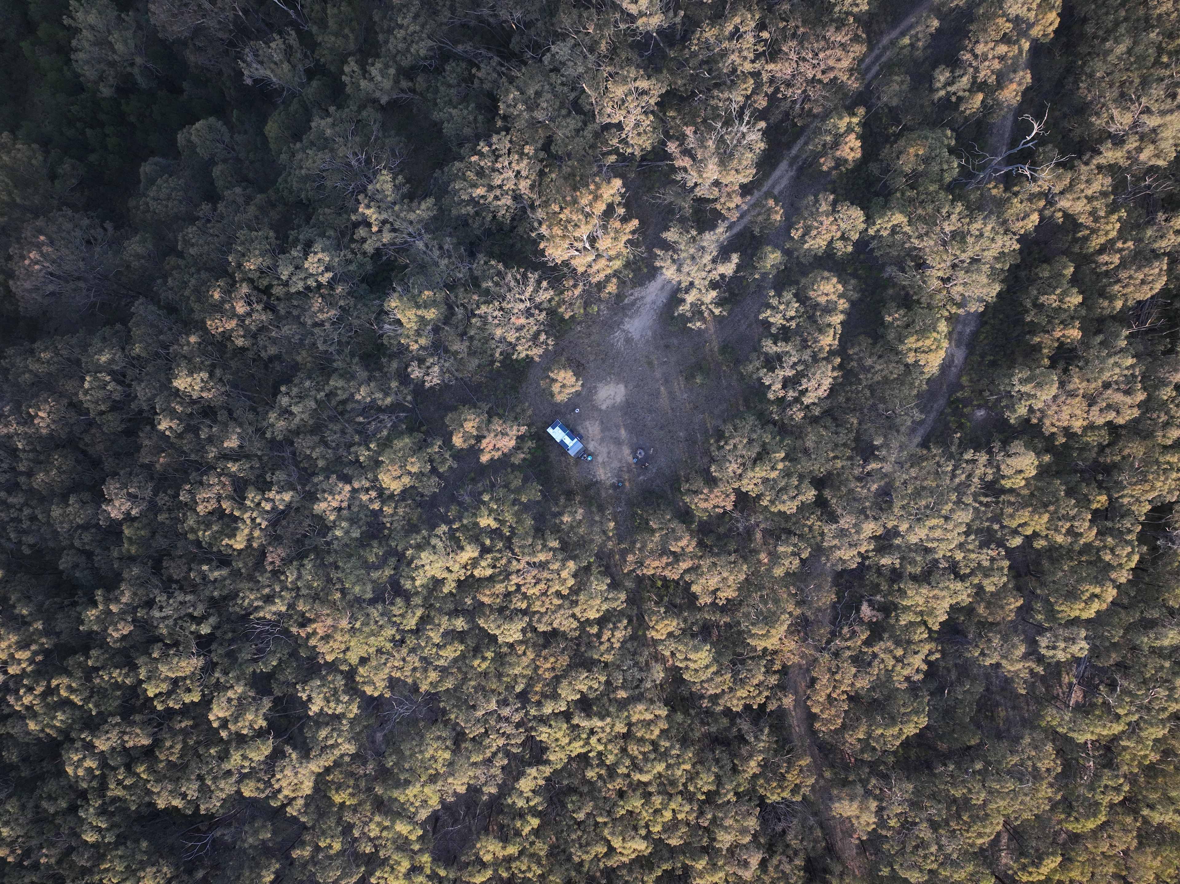 Wildwoods - Private bush surrounds