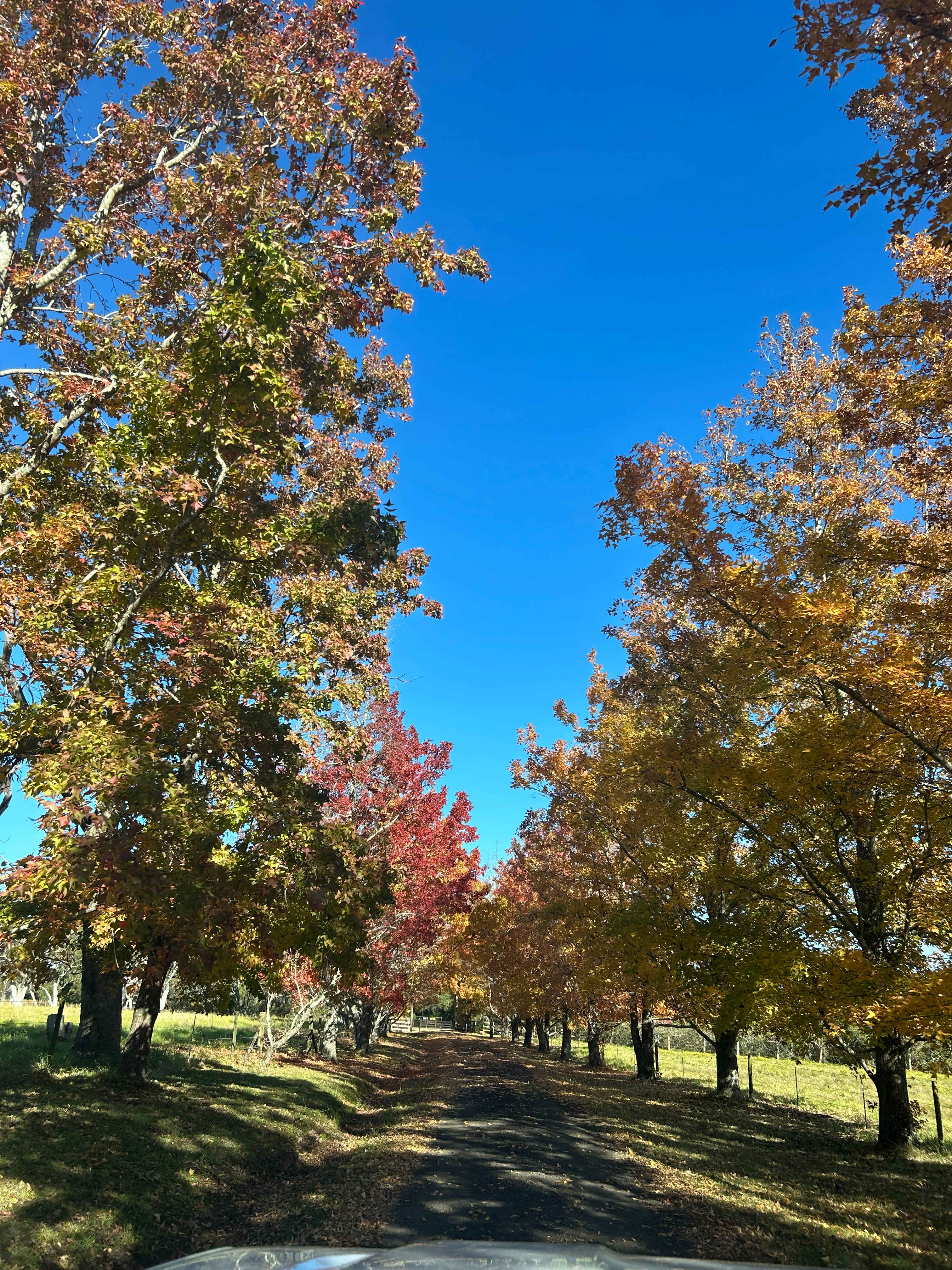 Fern Valley Ranch