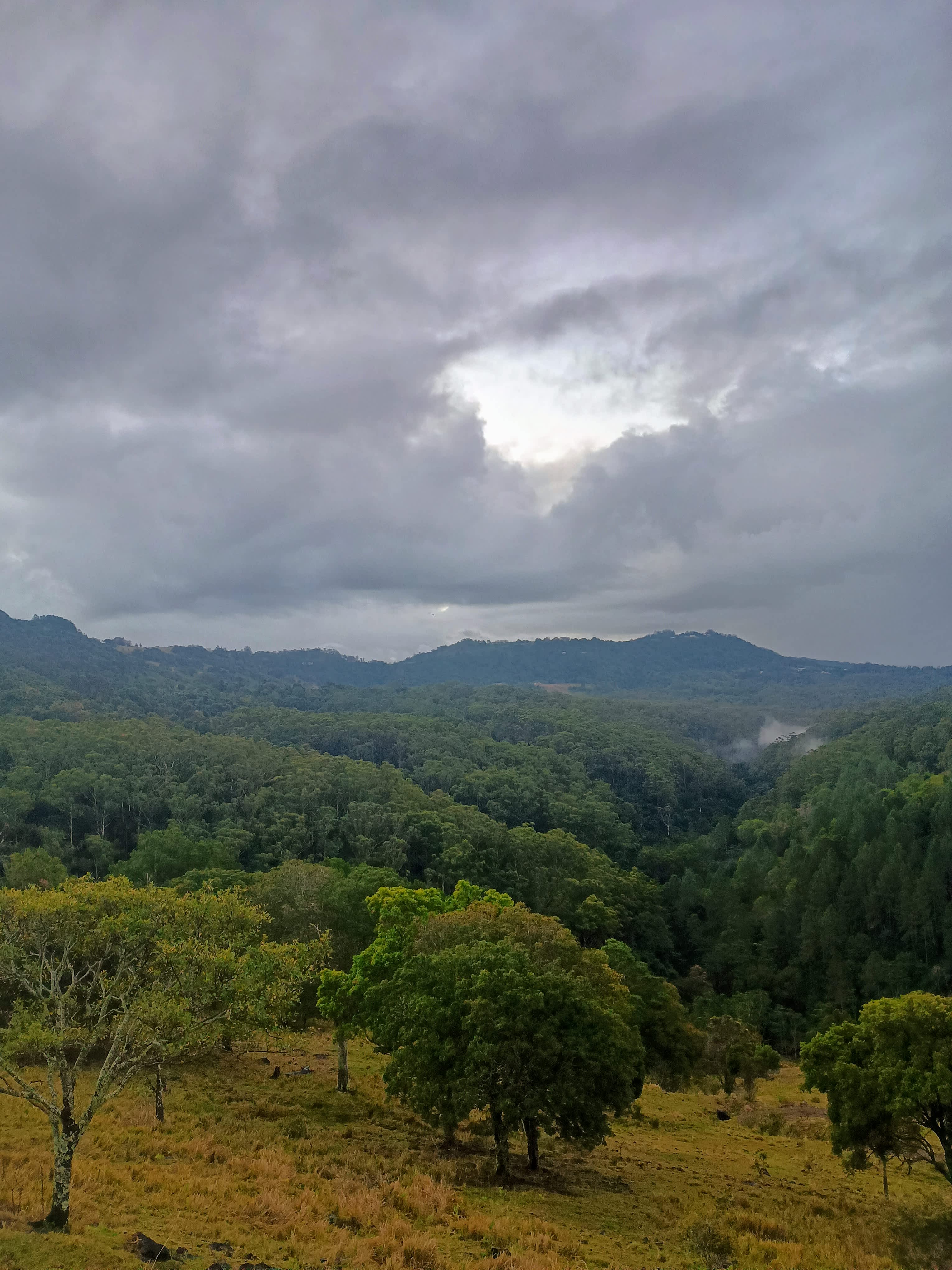 Riverdell