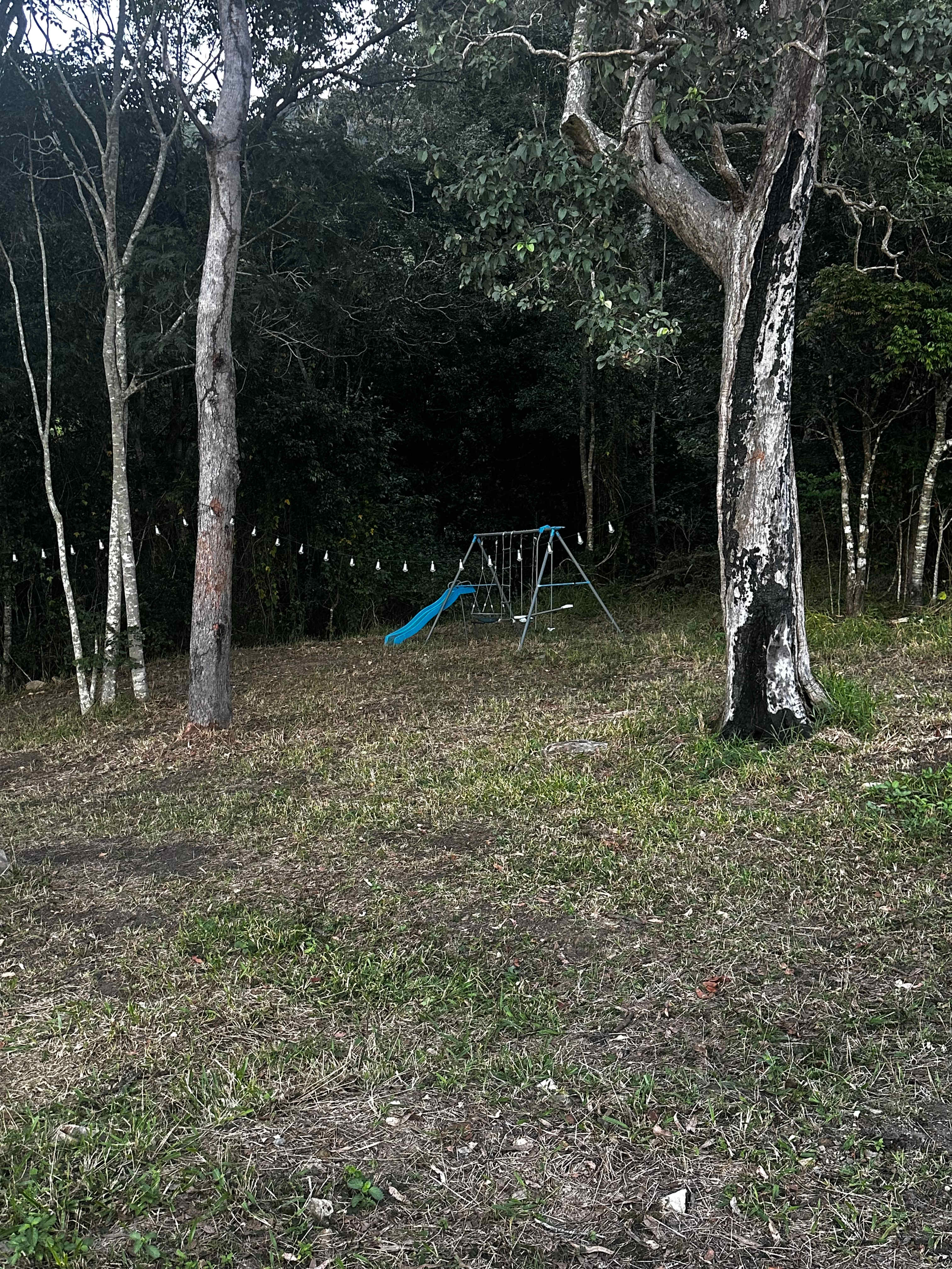 Wallaby Downs