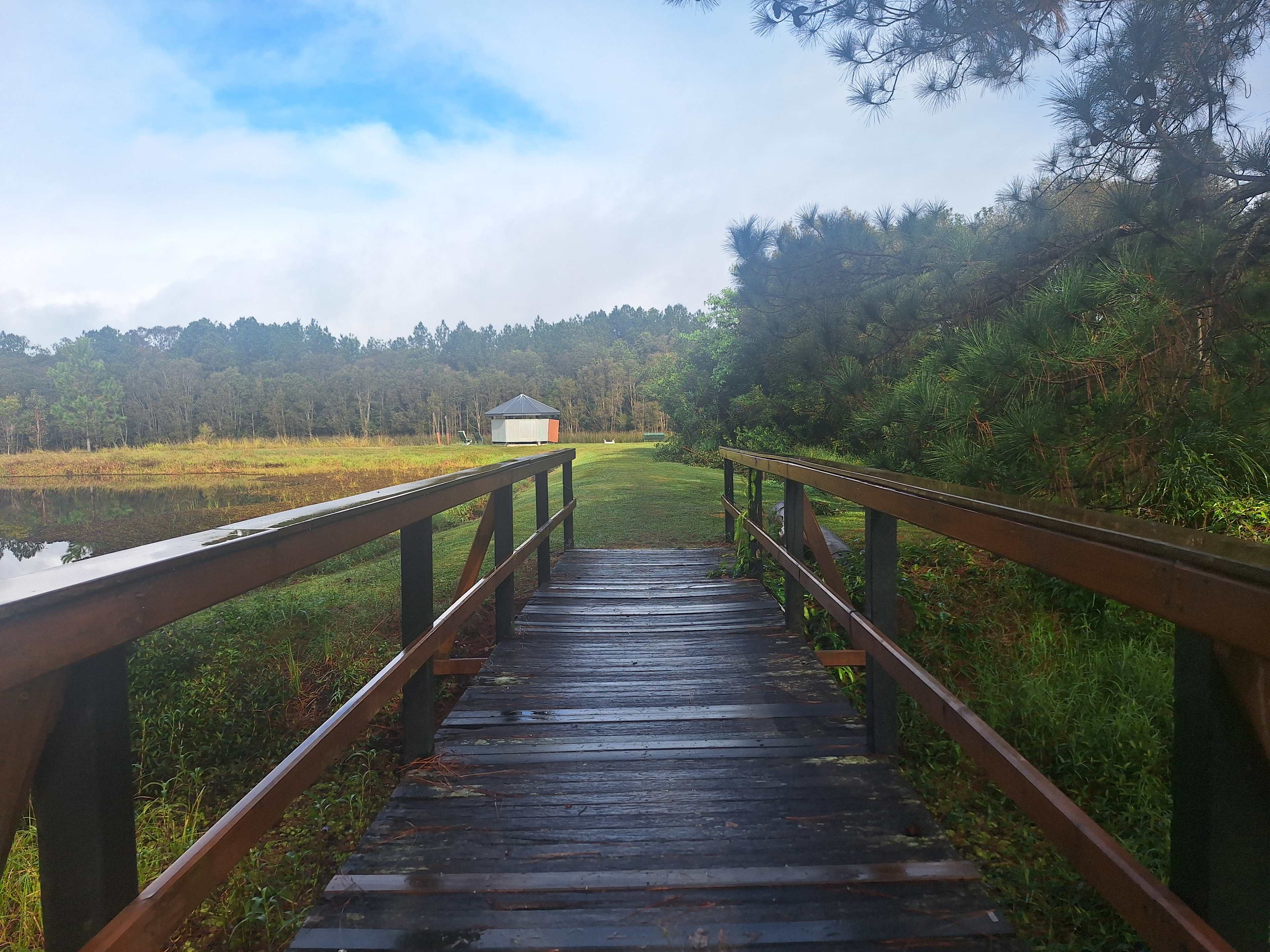 Bushywood at Woodfordskilake
