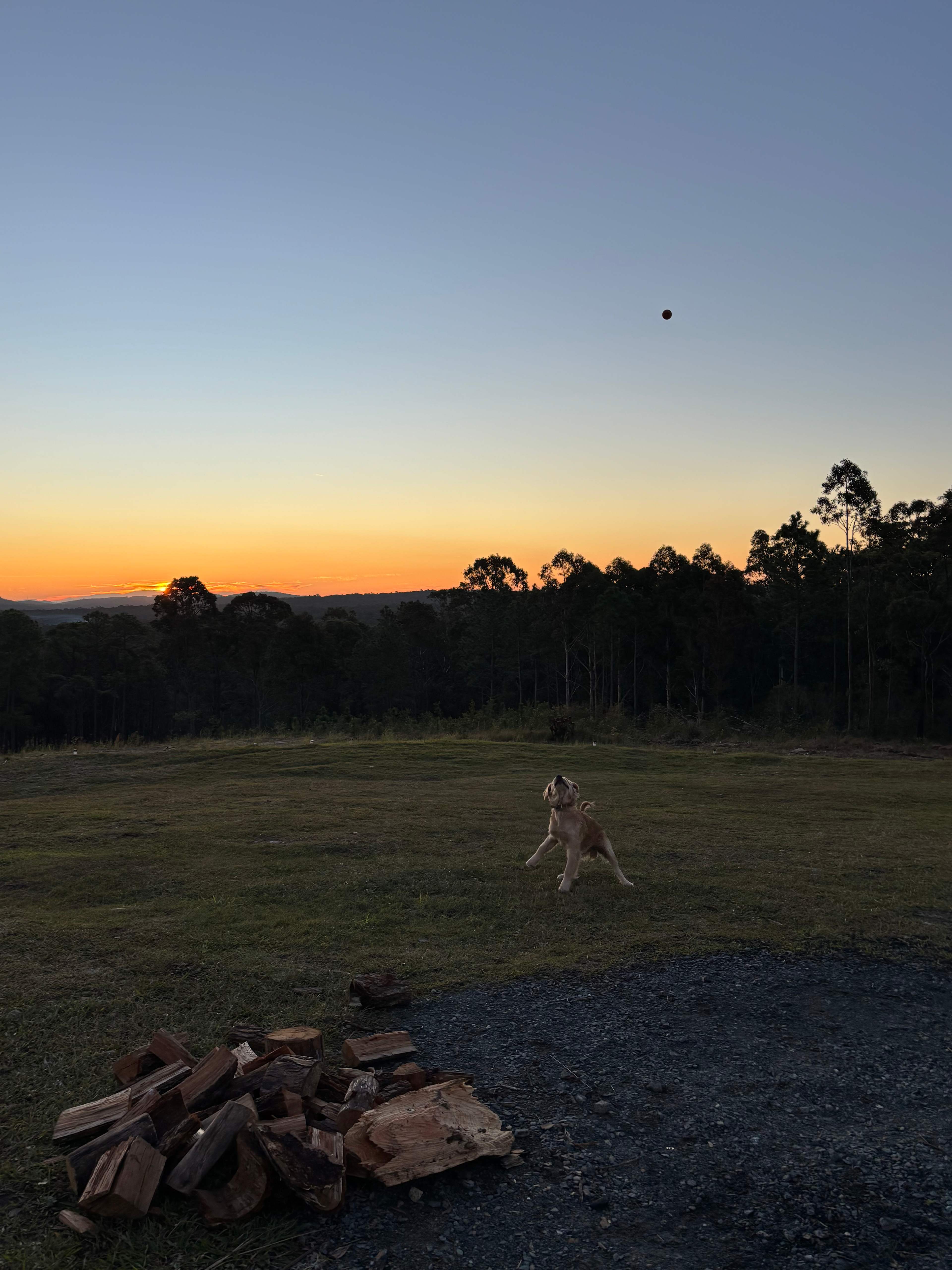 Fame Mountain Camp - pets welcome
