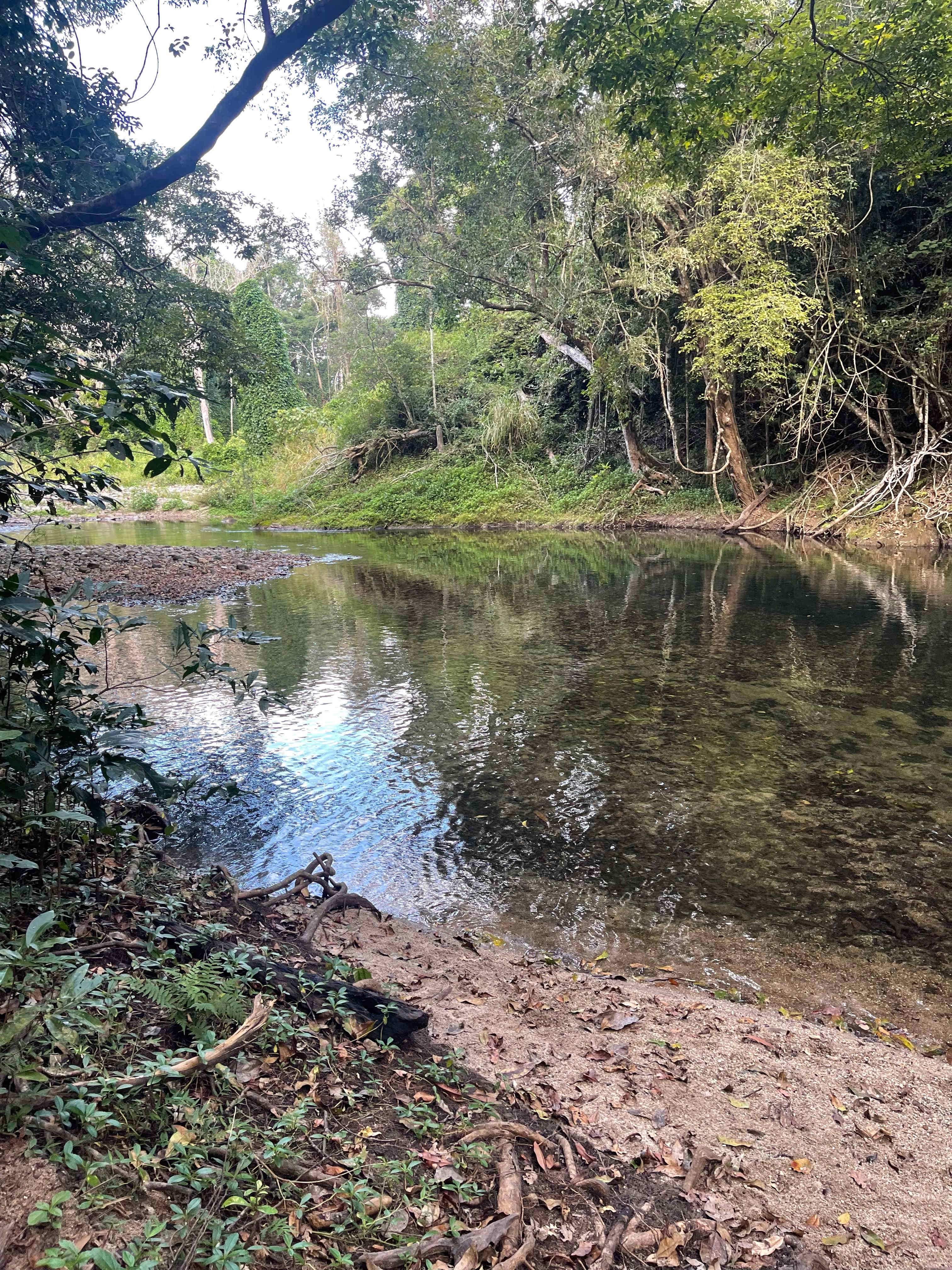 Little Mulgrave Holiday Camping