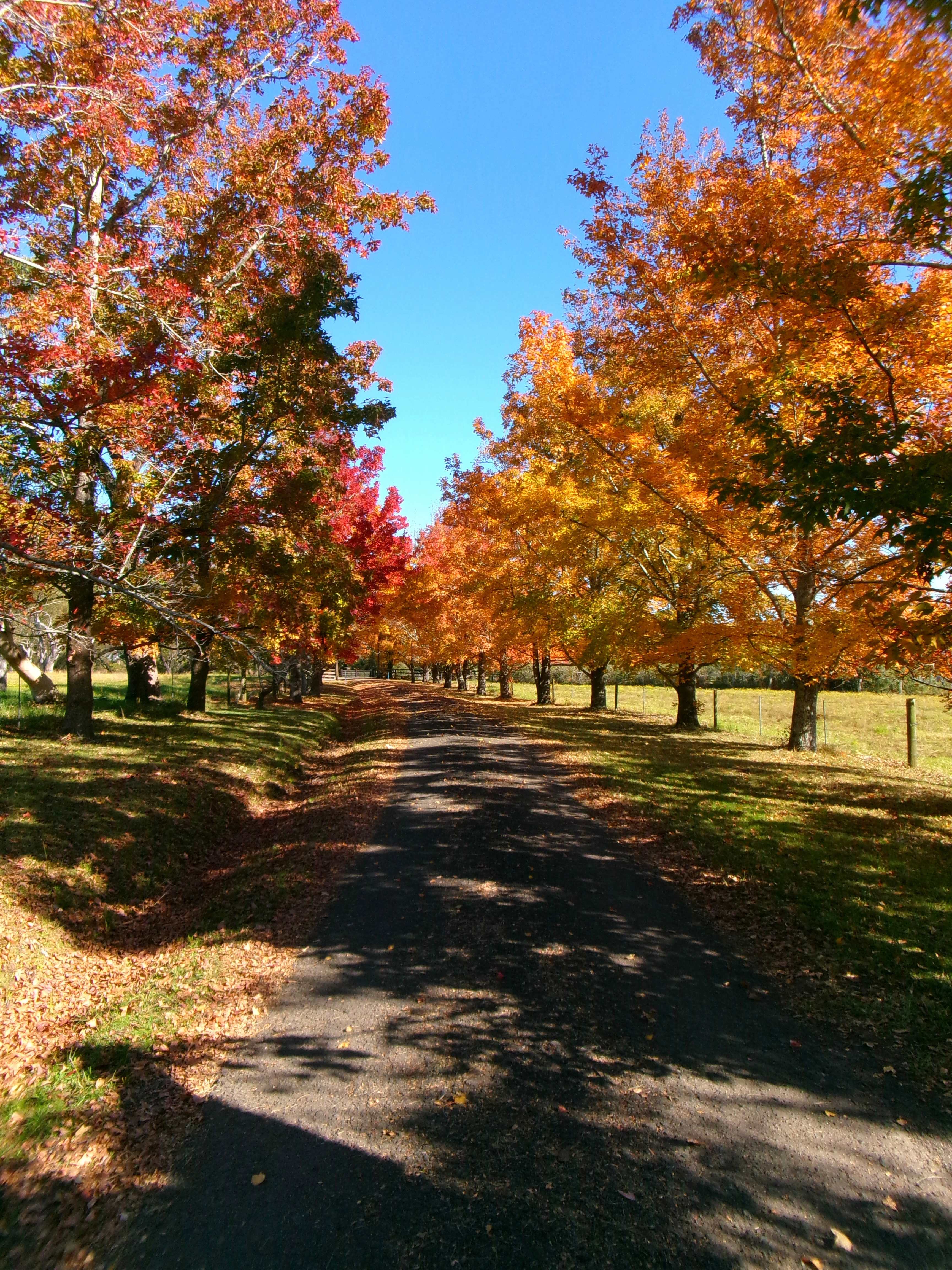 Fern Valley Ranch