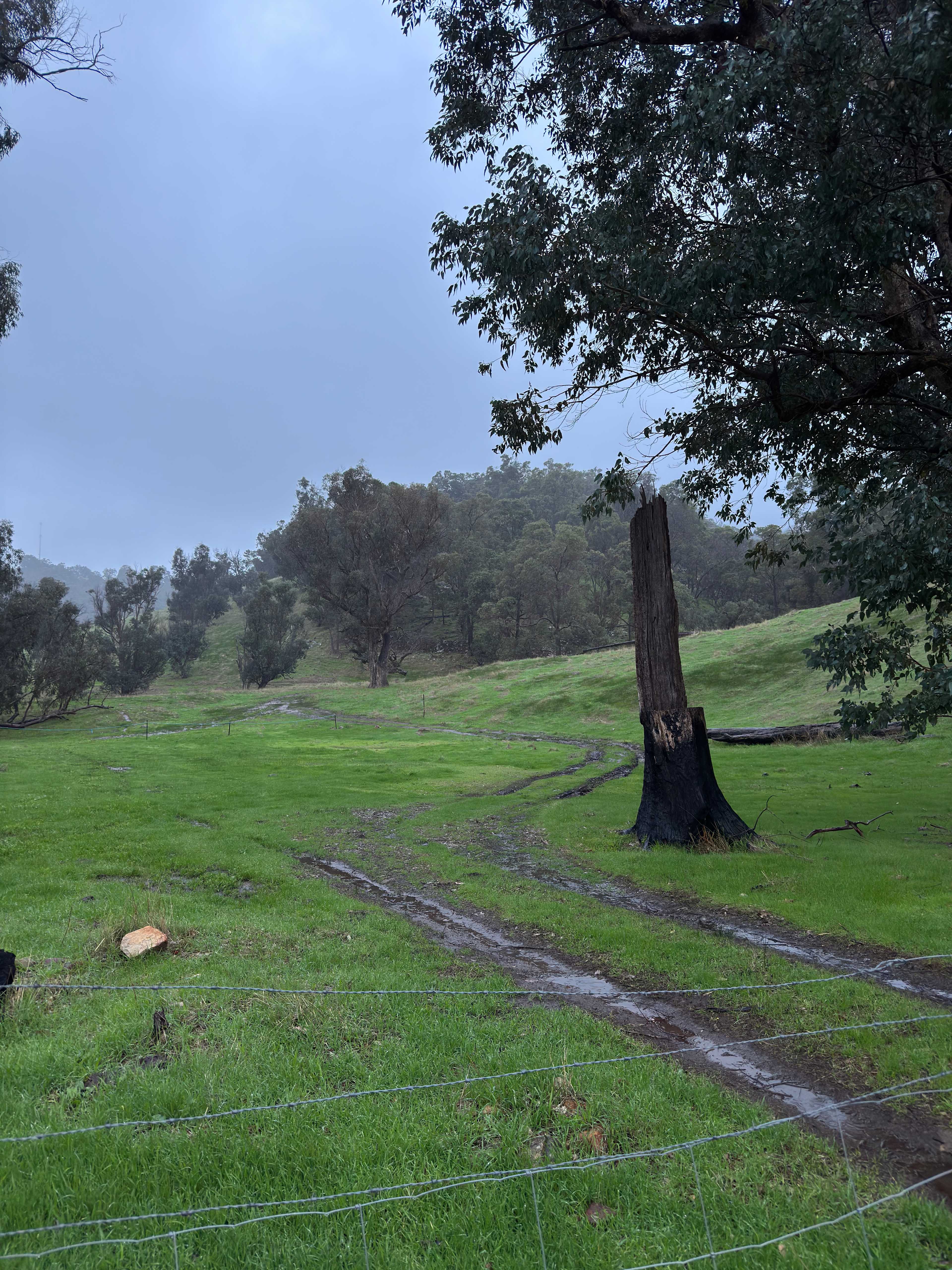 Bolinda Vale Farm