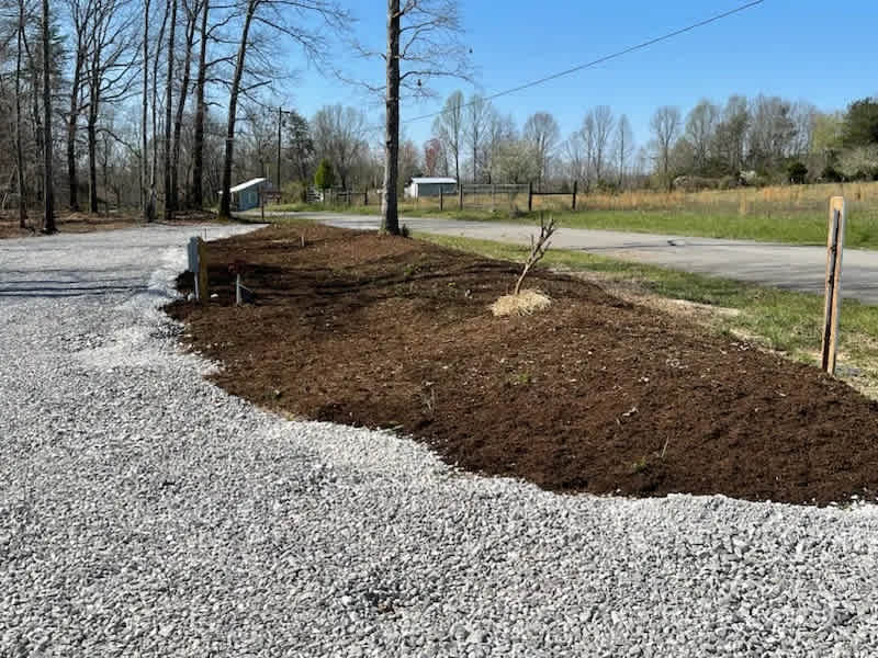 Camp Luna RV Park