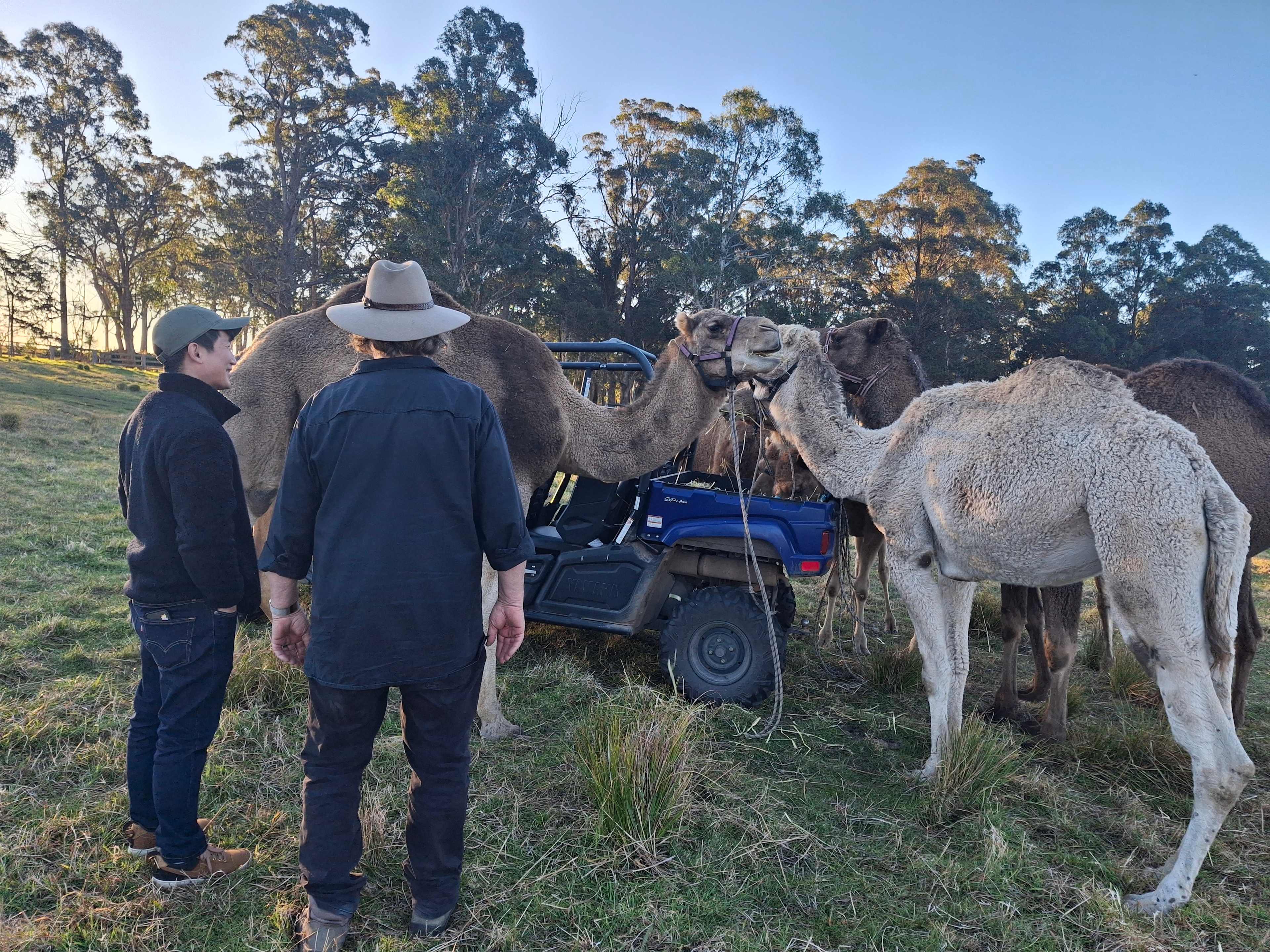 'Elouera Vale' Farm