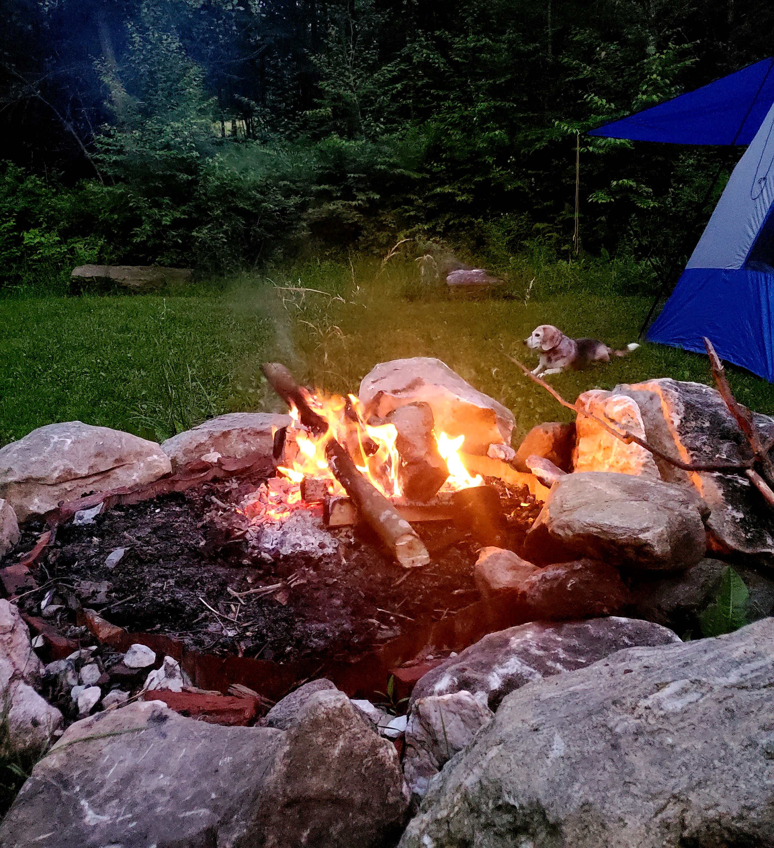 Private campsites miles of trails!