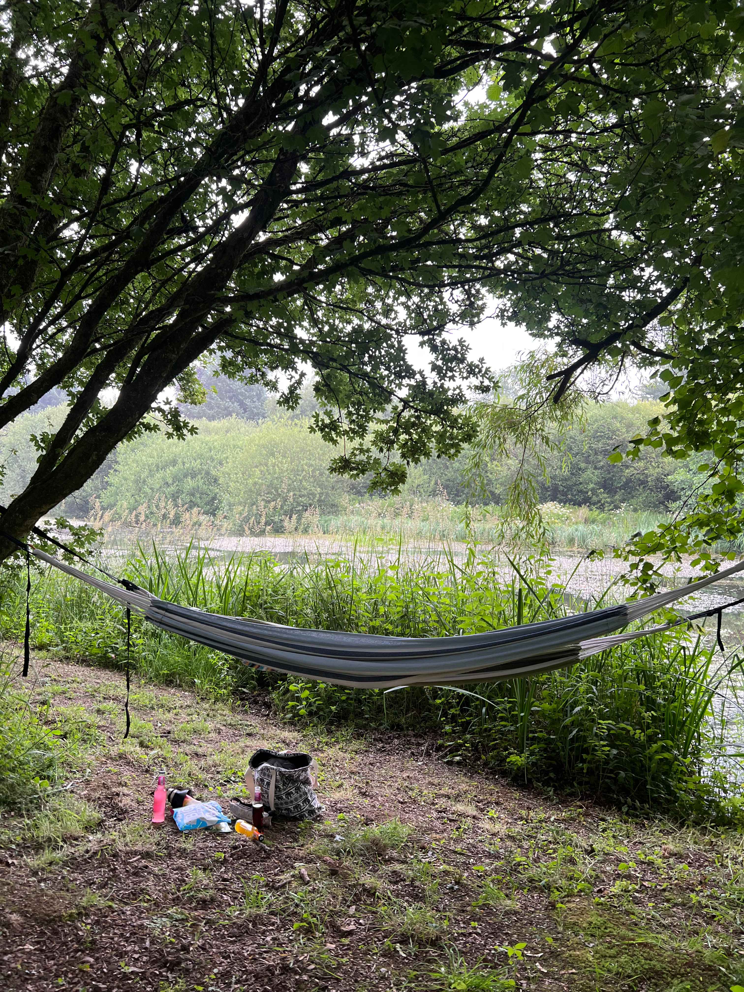 Found some trees for our hammocks :)