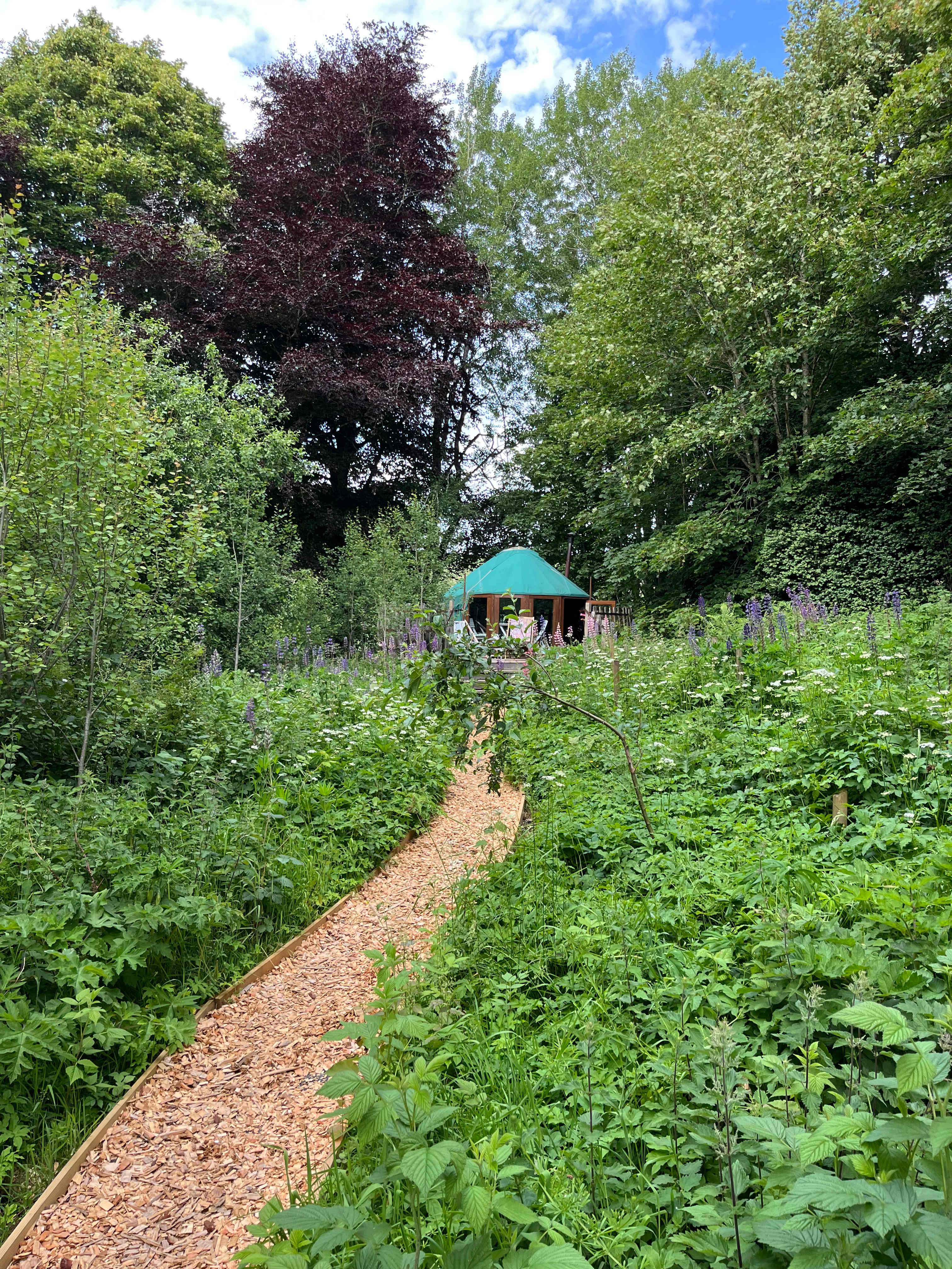 Bramble Yurt, home for 4 nights 