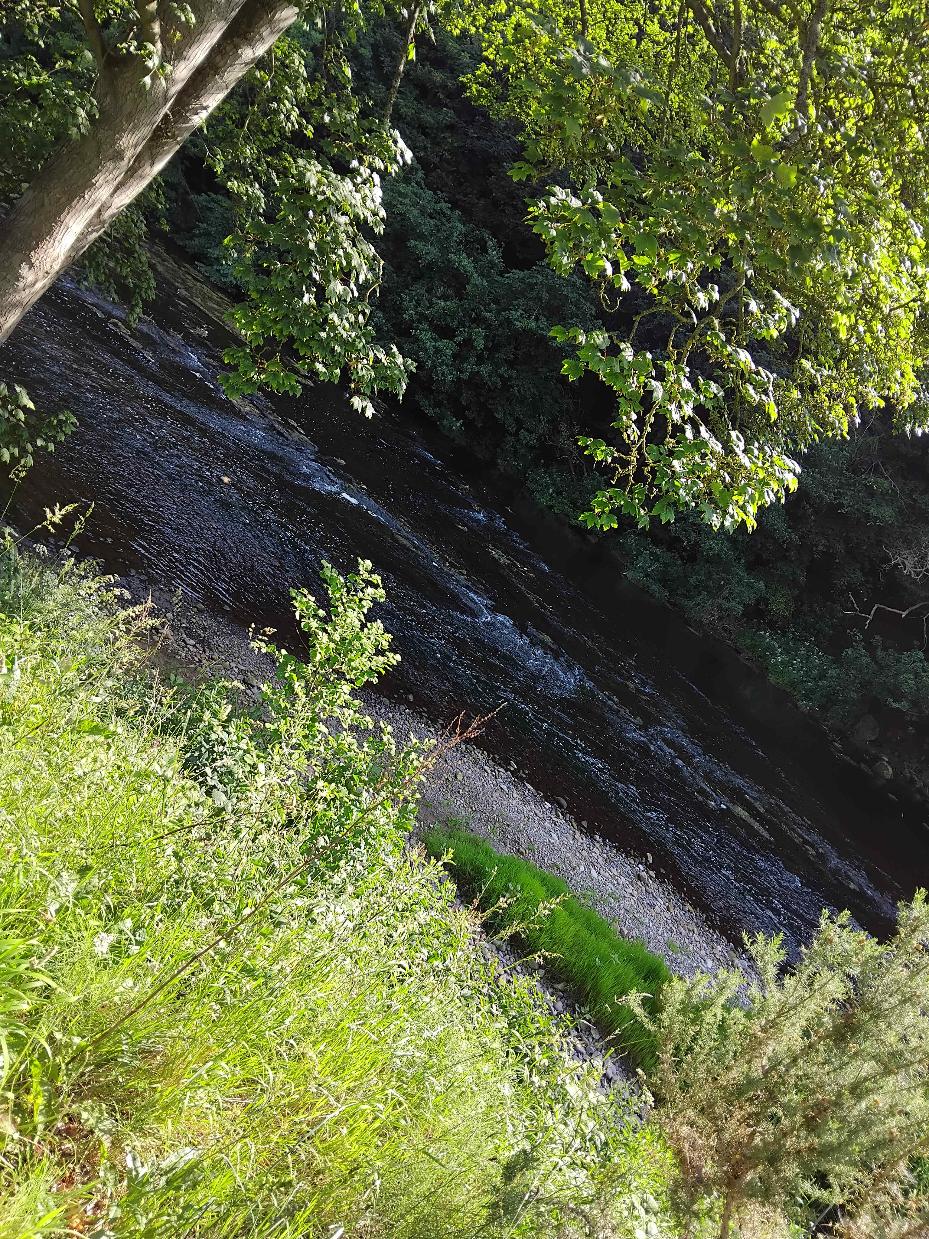 Very tranquil 