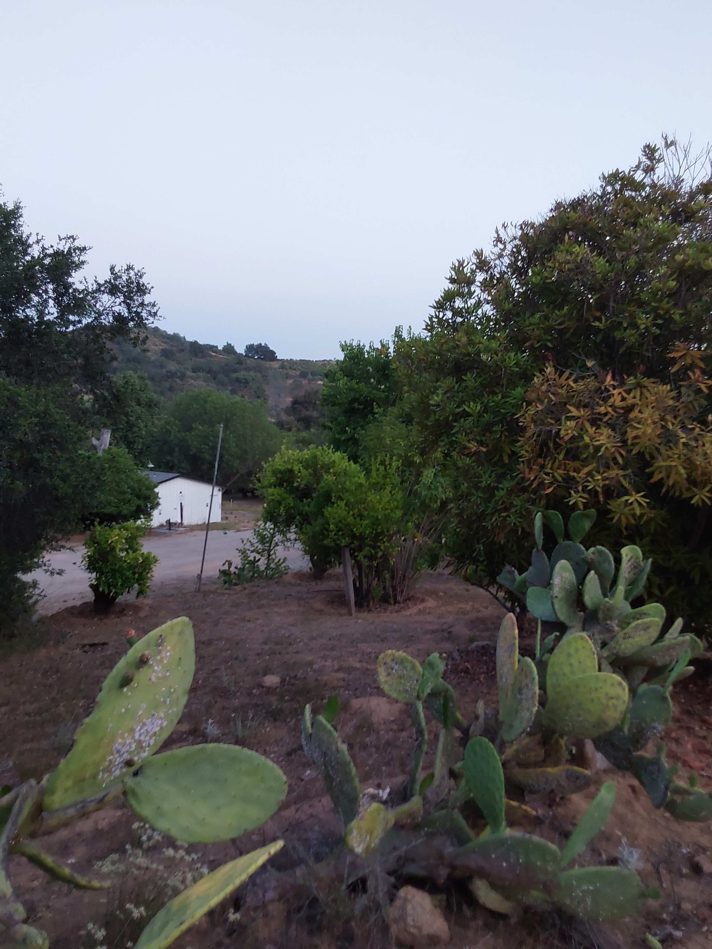 SoCal Campground
