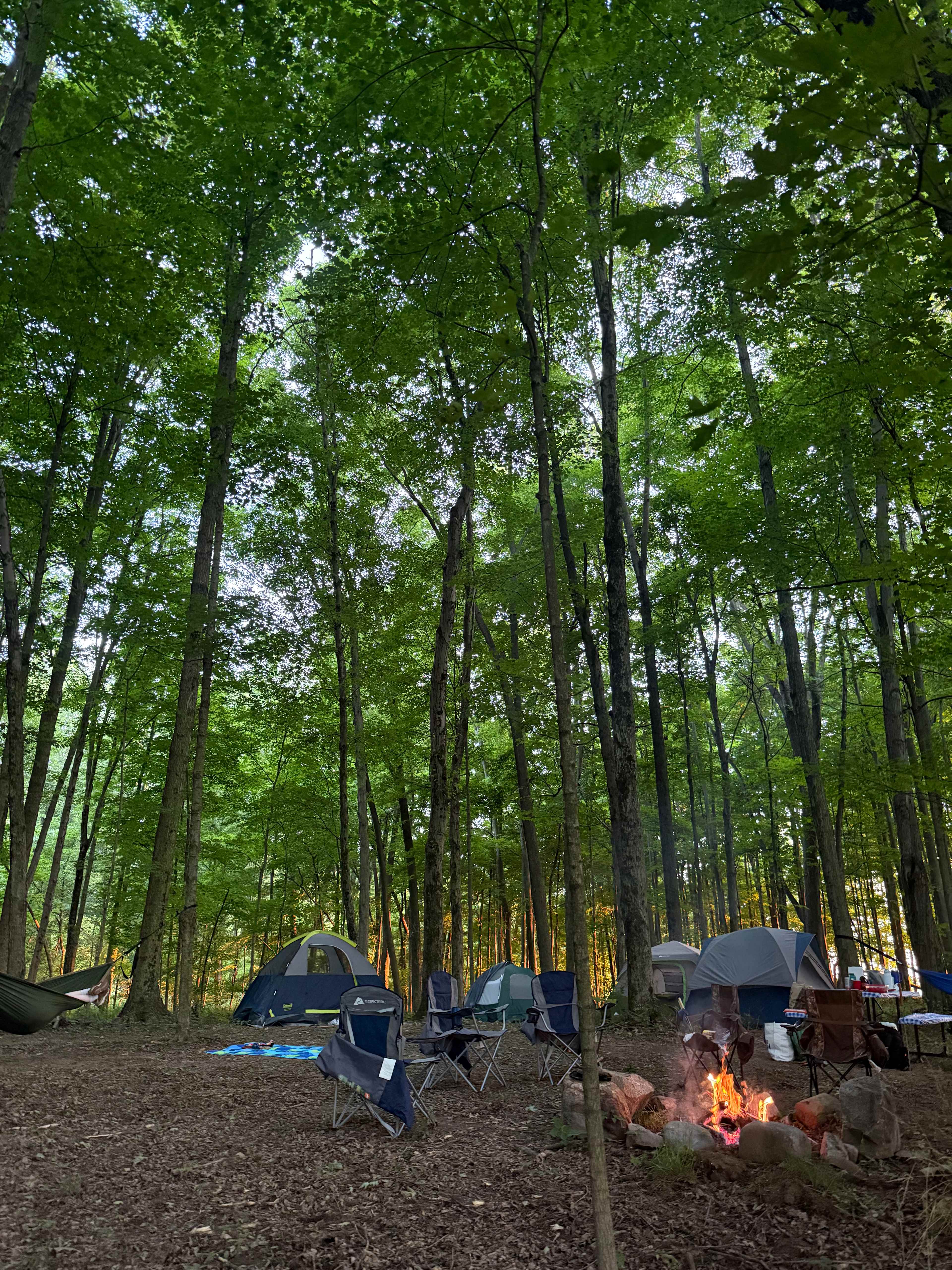 site 9