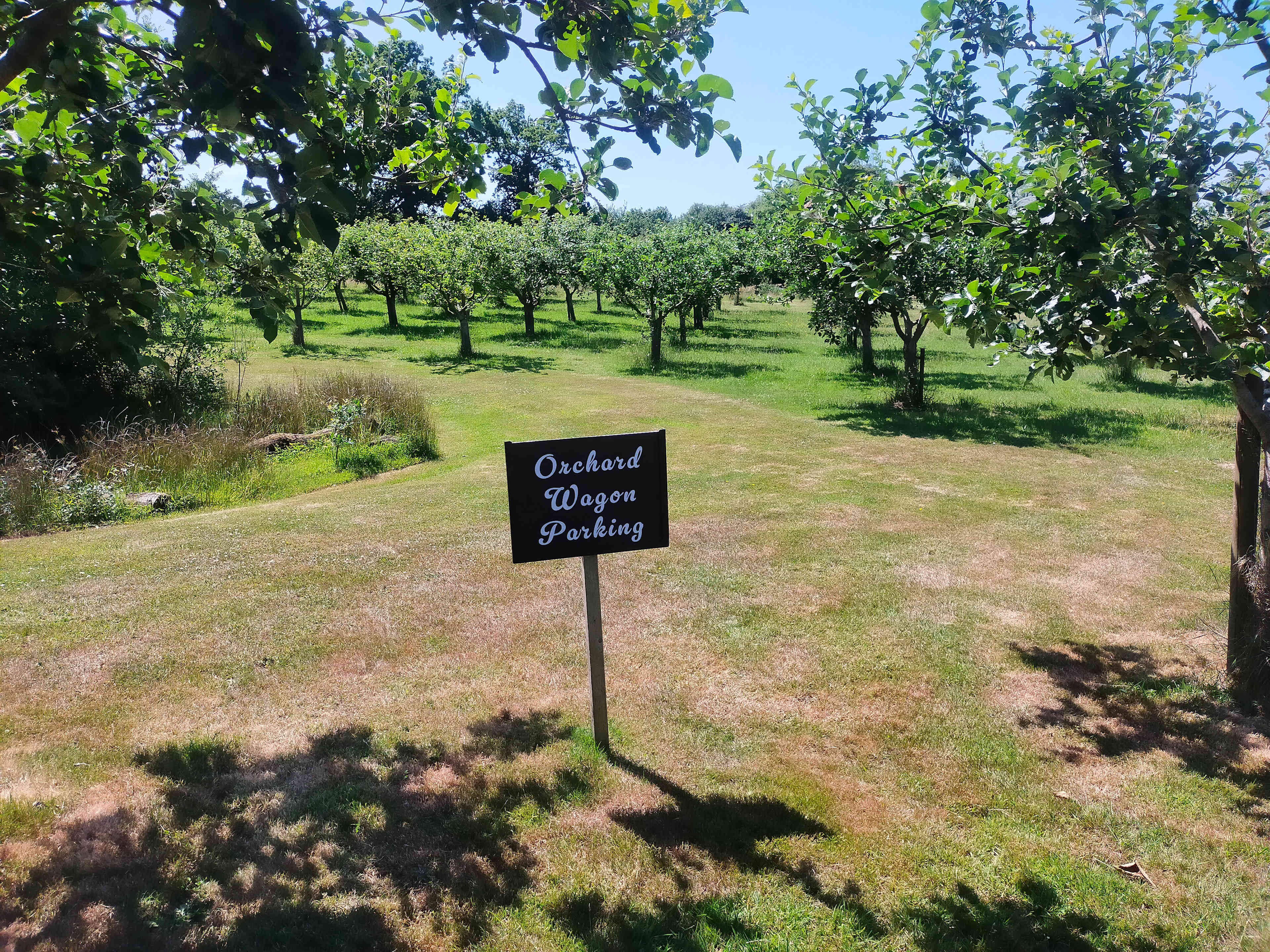 Parking spot