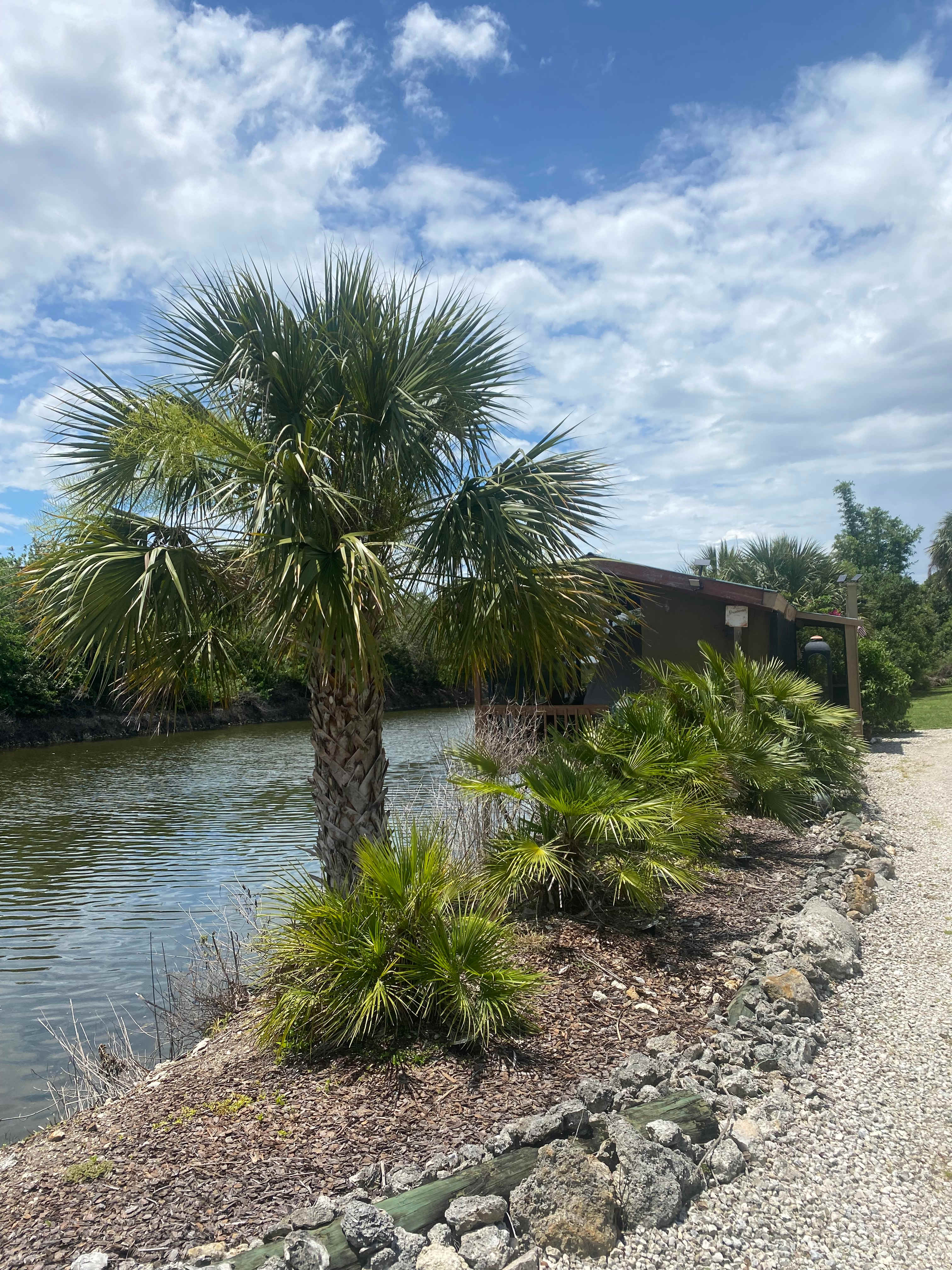 Meadow River Ranch