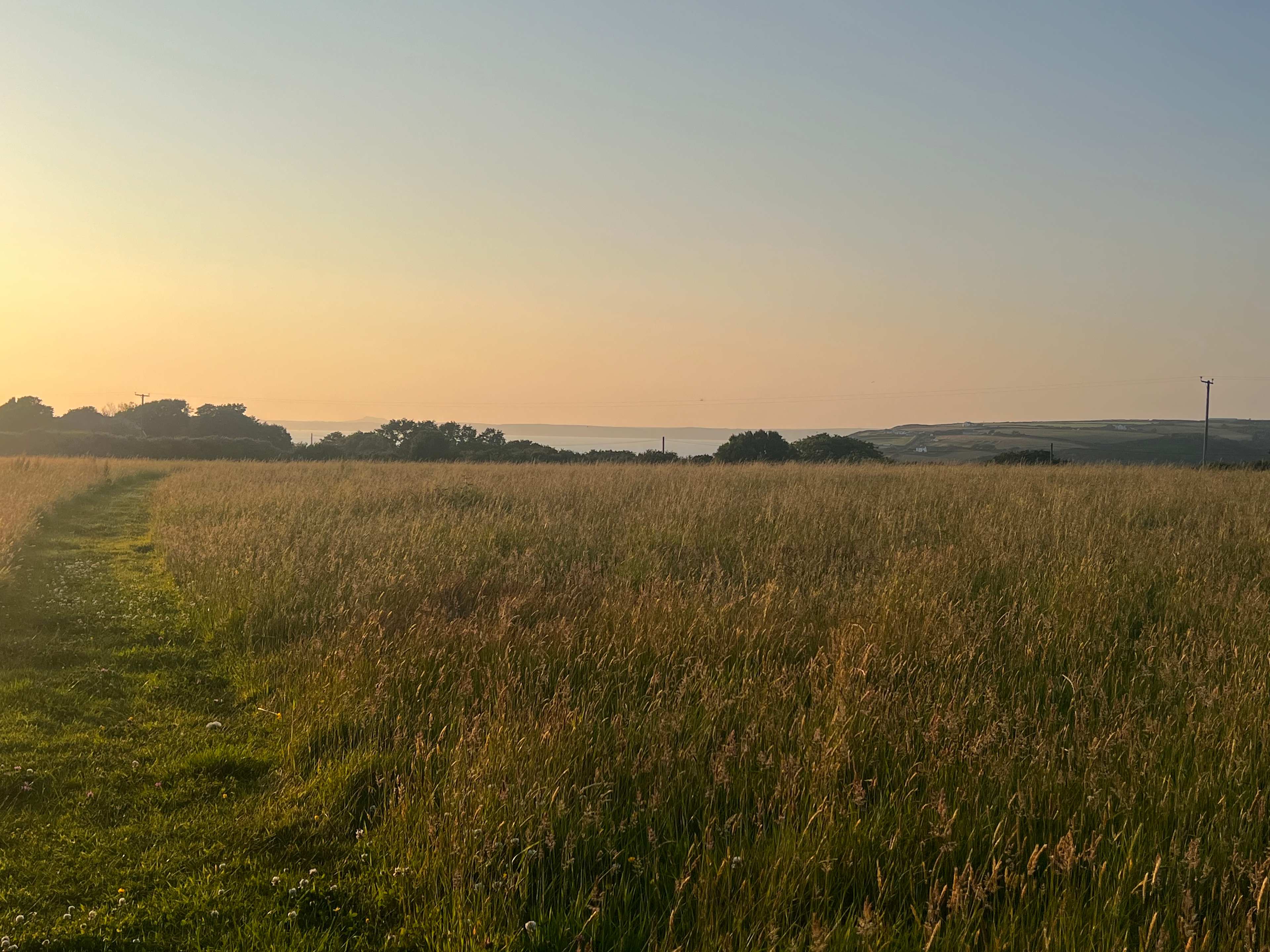 Springfield Farm & Wild Camping