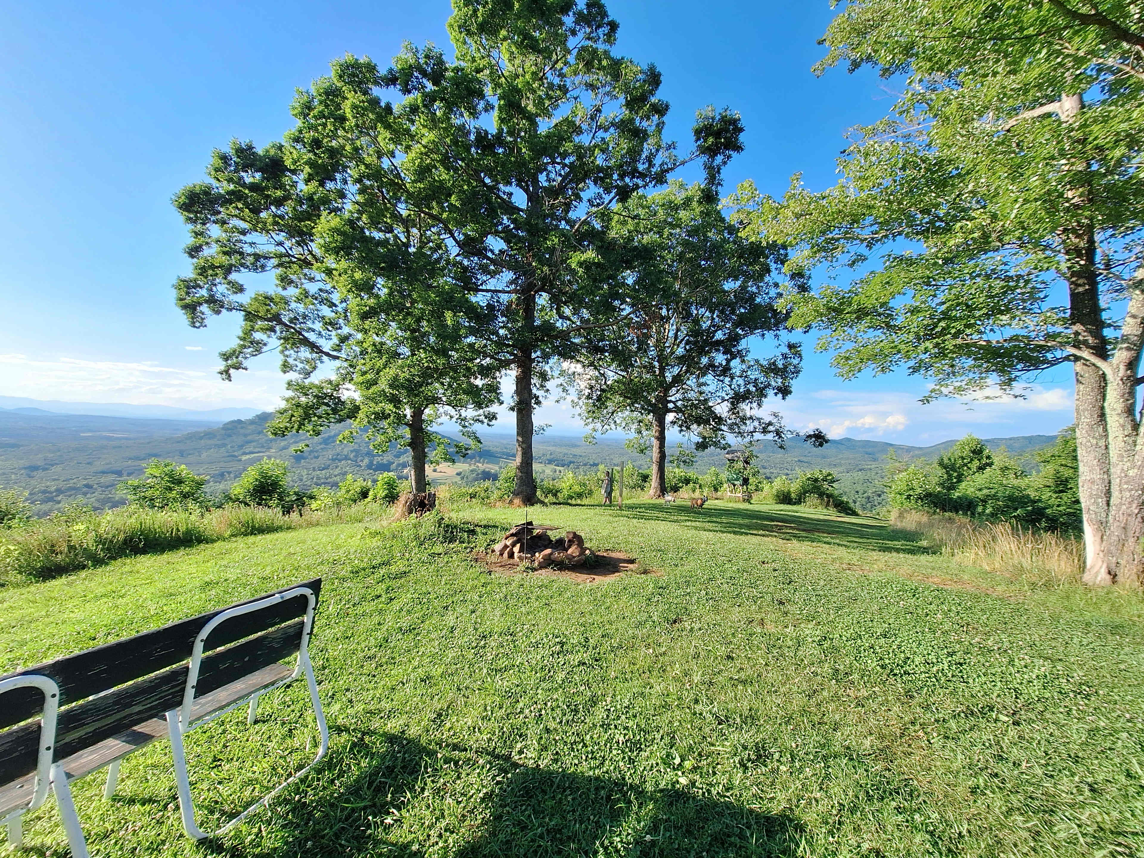 Bolin Knob Meadows