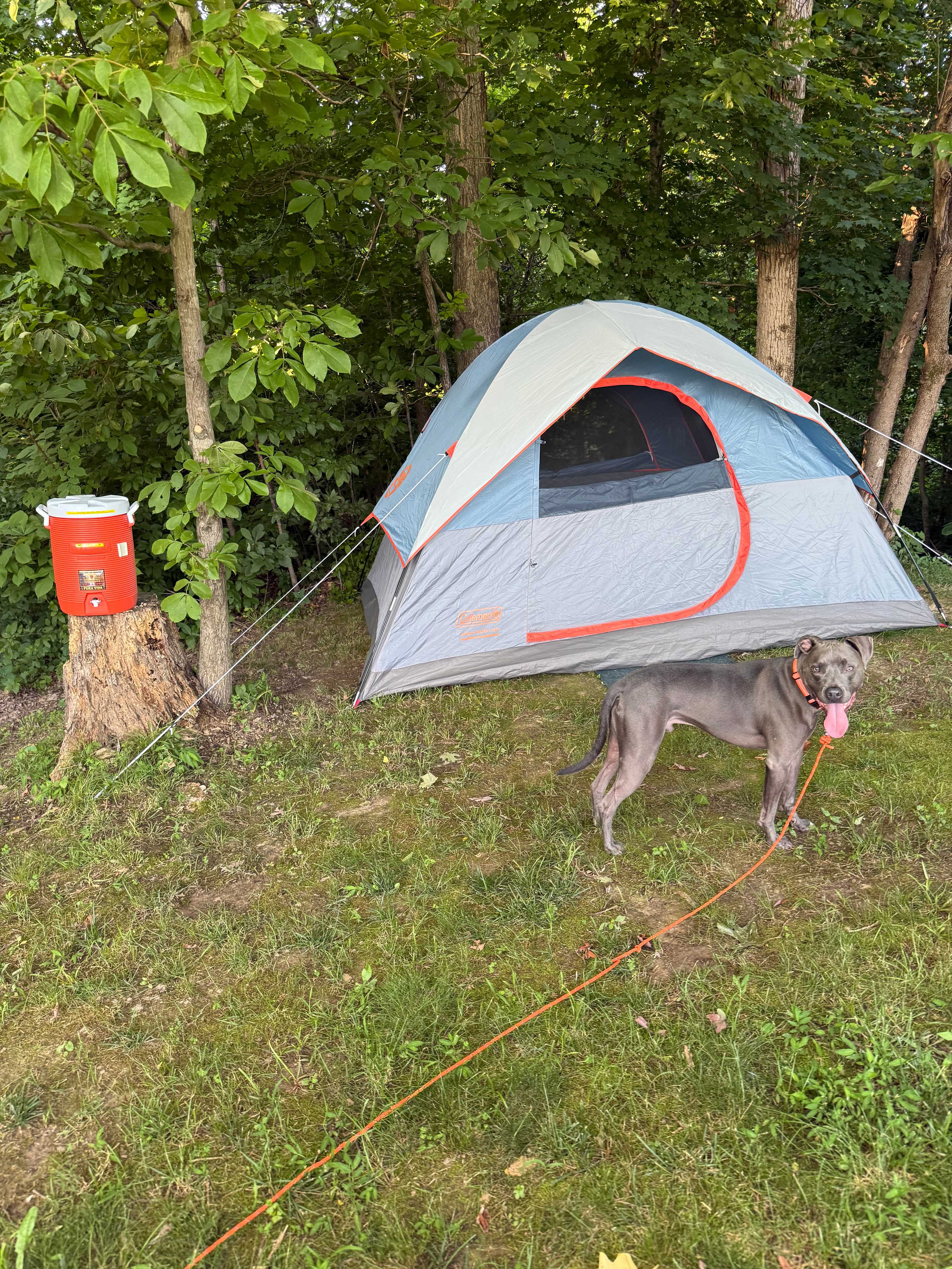 Wine Trail Wilderness