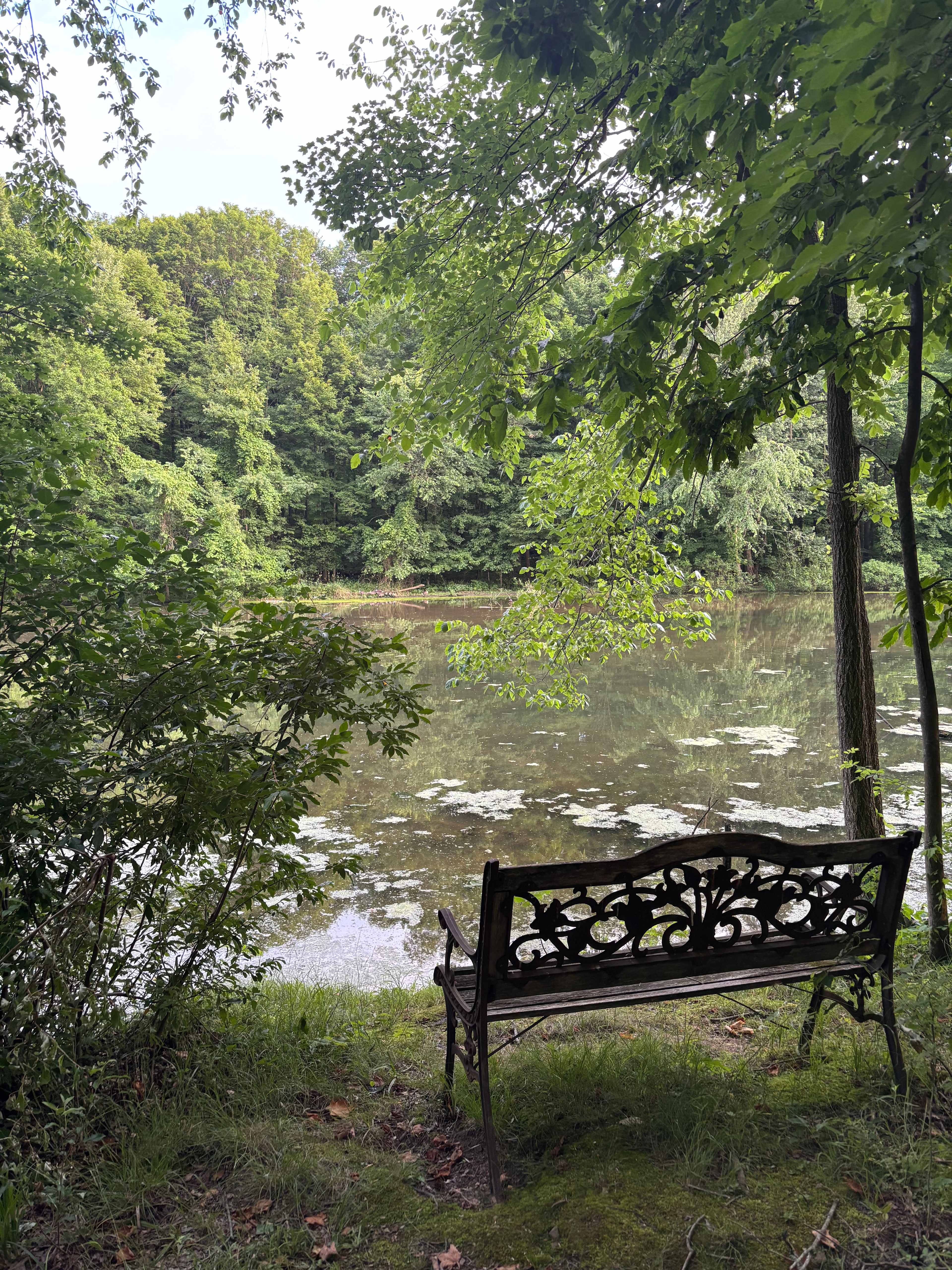 The Lake at the Flying J Farm