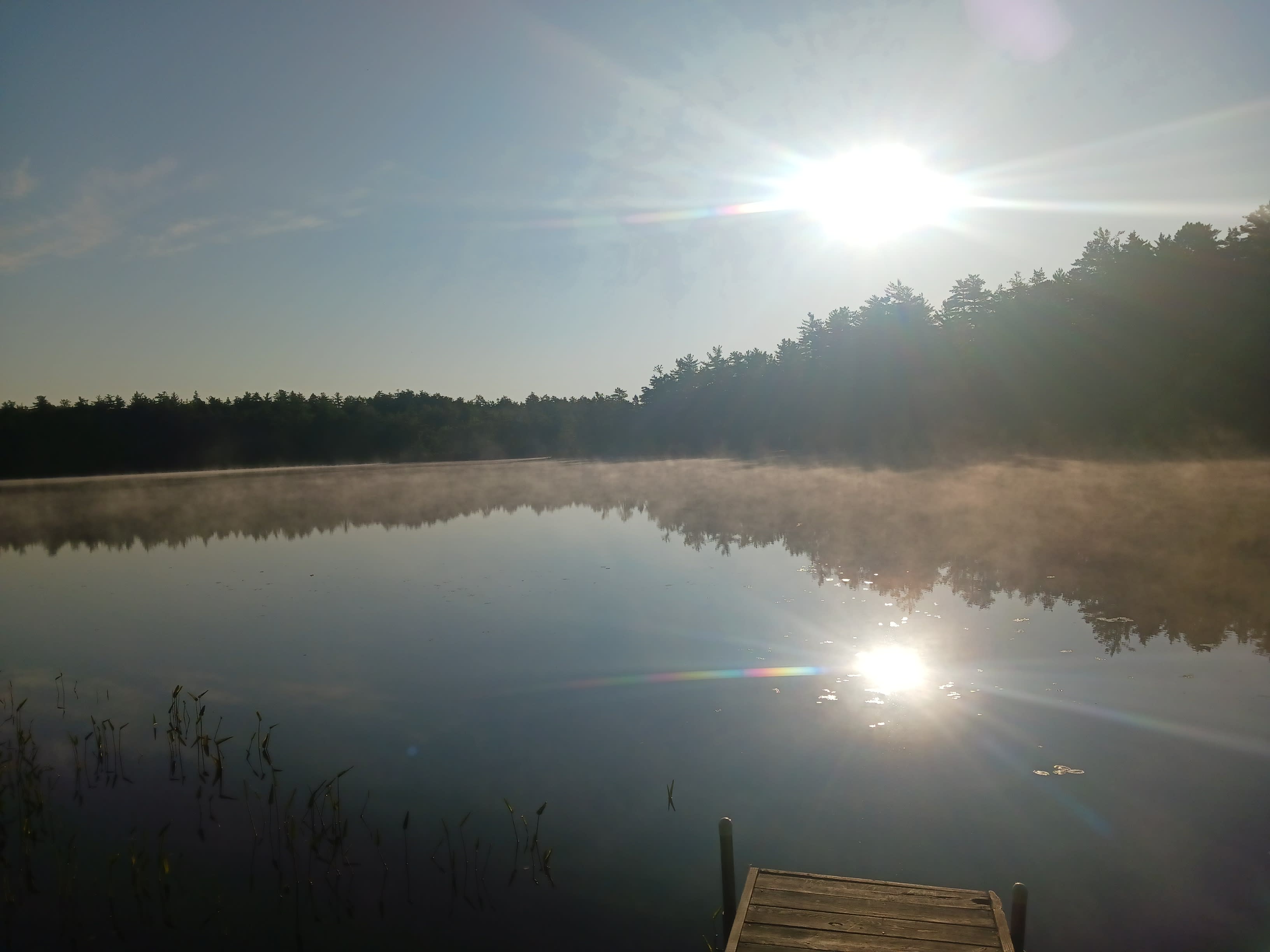 Owl's Hollow Eco-Therapy Glamping