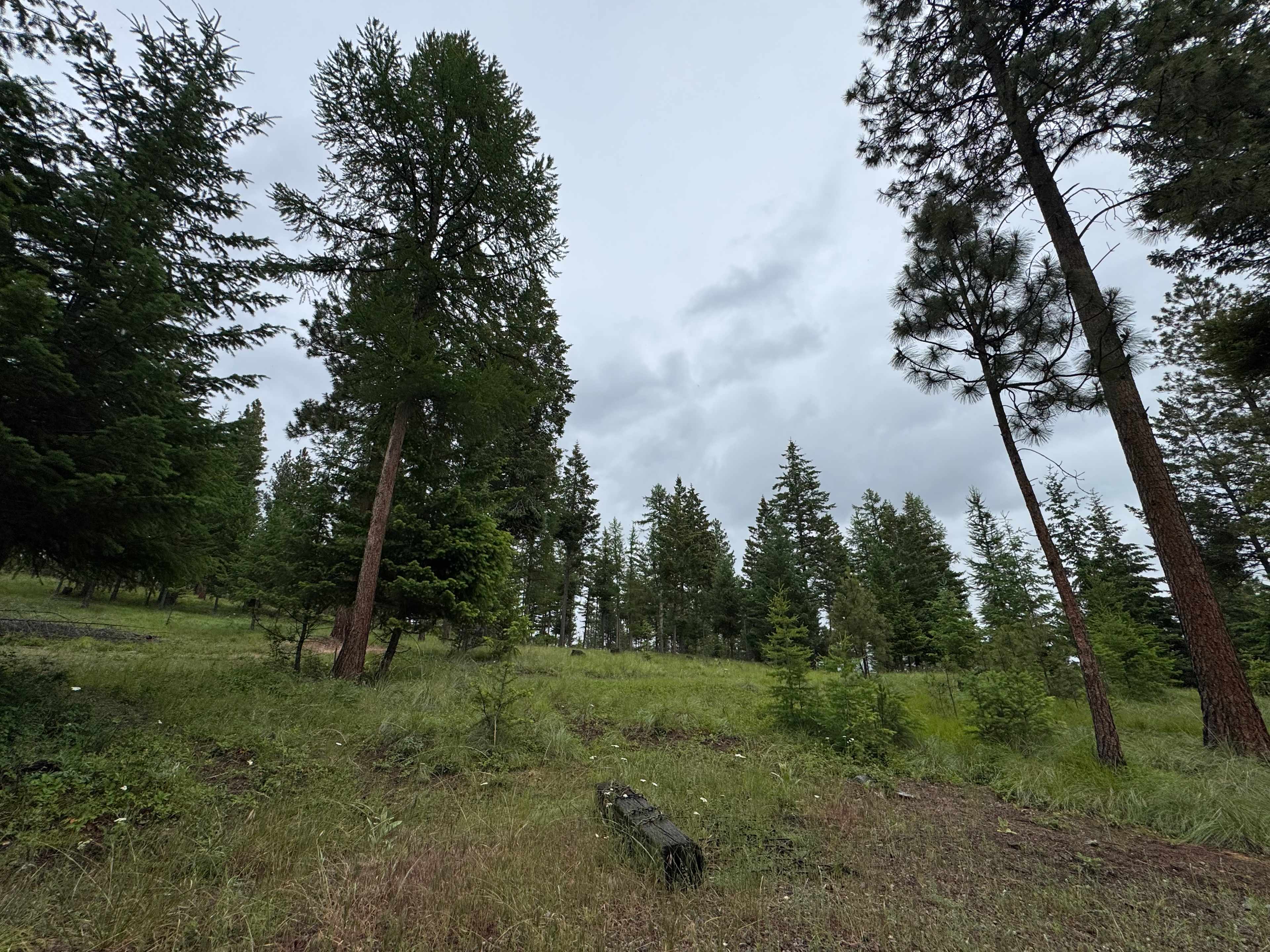Bigfoot RV Campsite