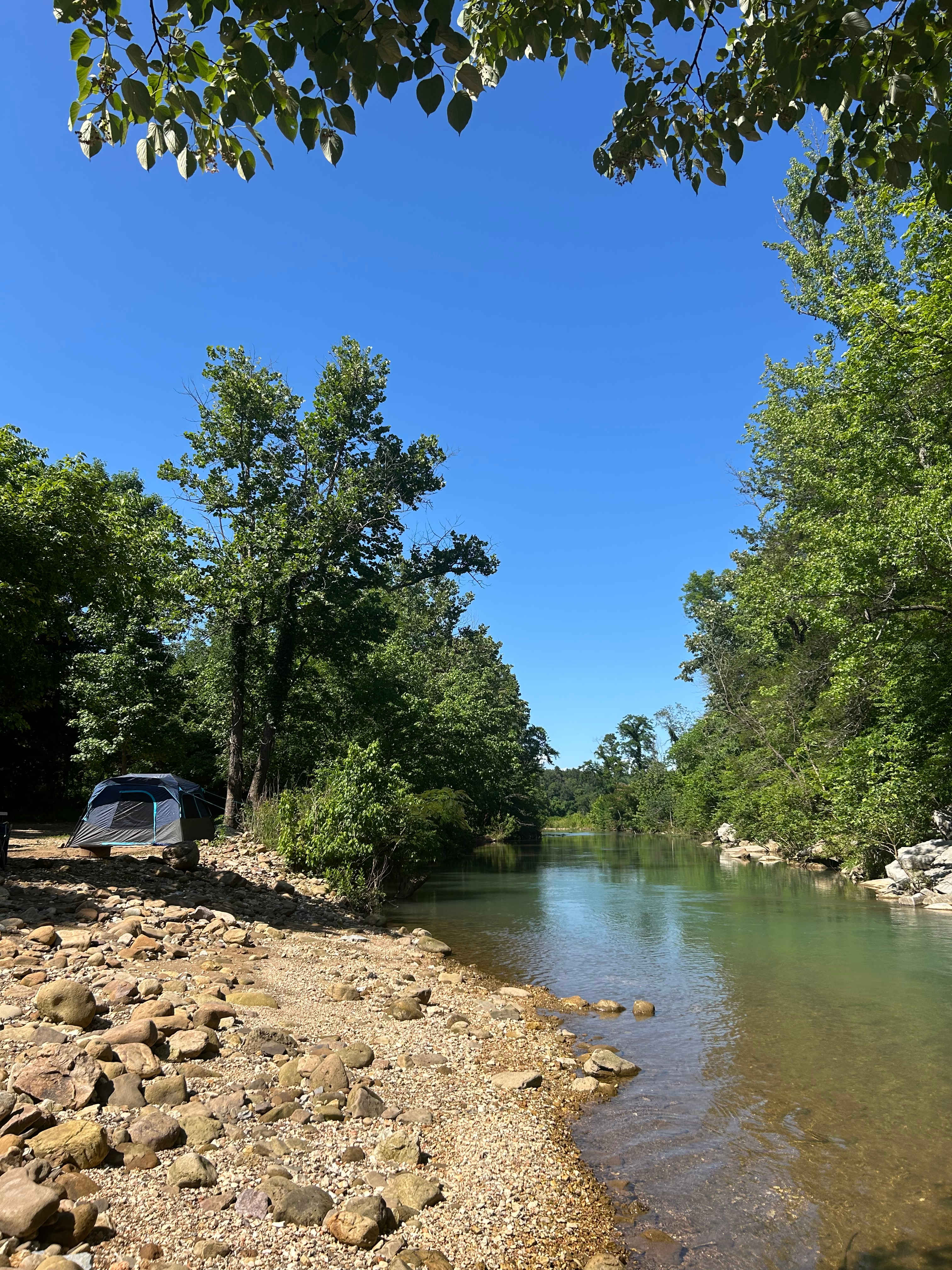 Site 6