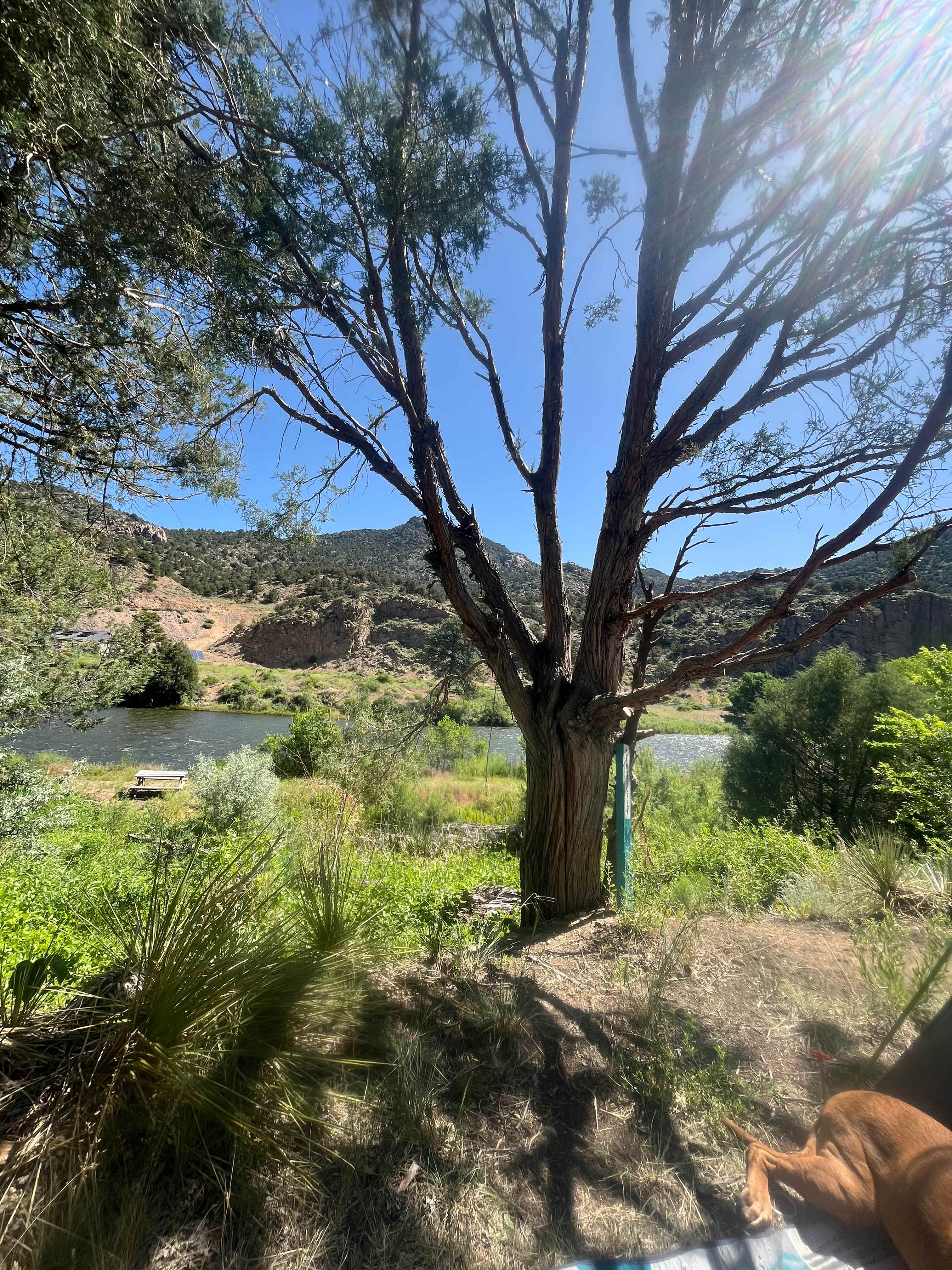 View from picnic table