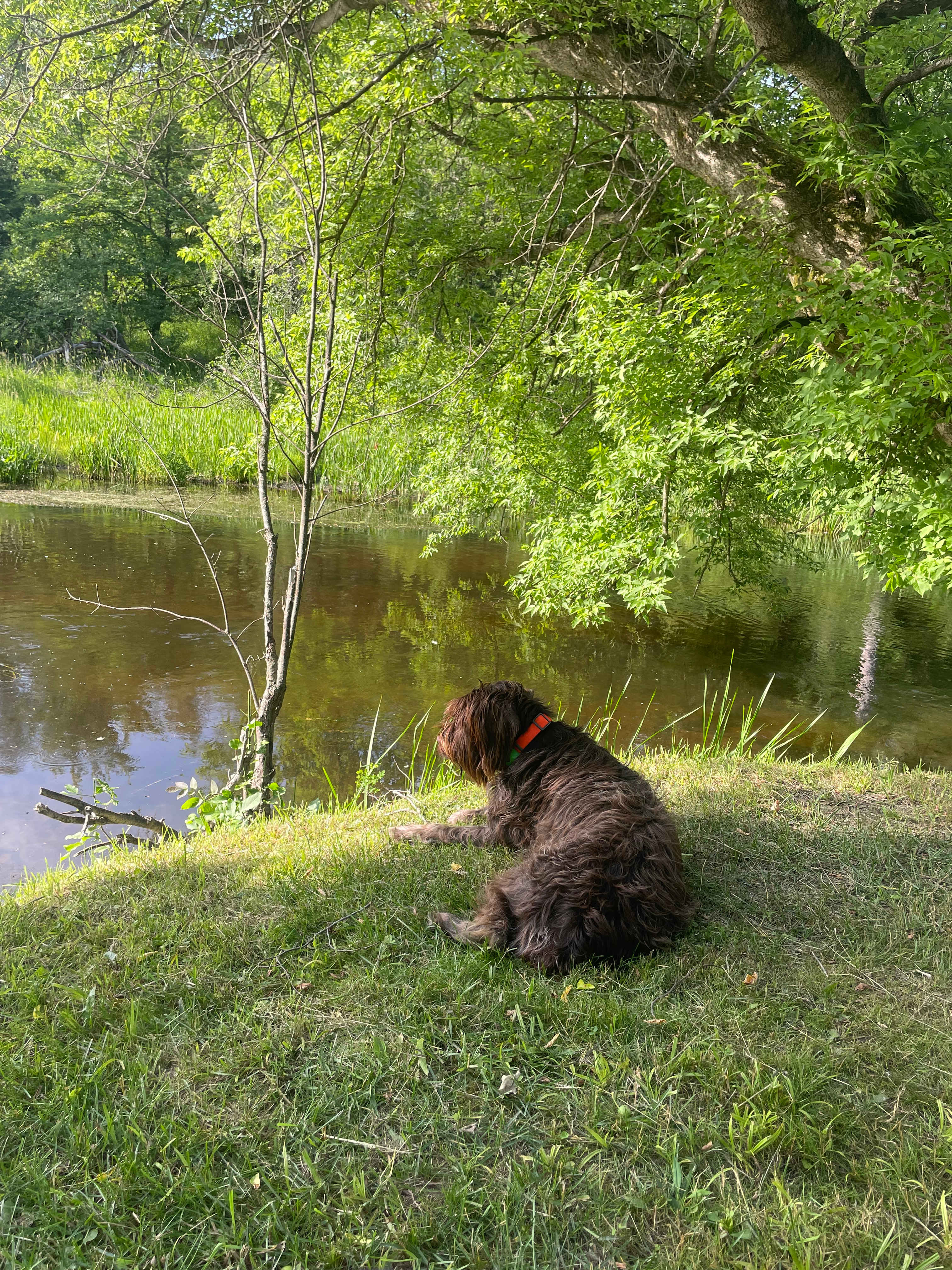 Peace like a river …