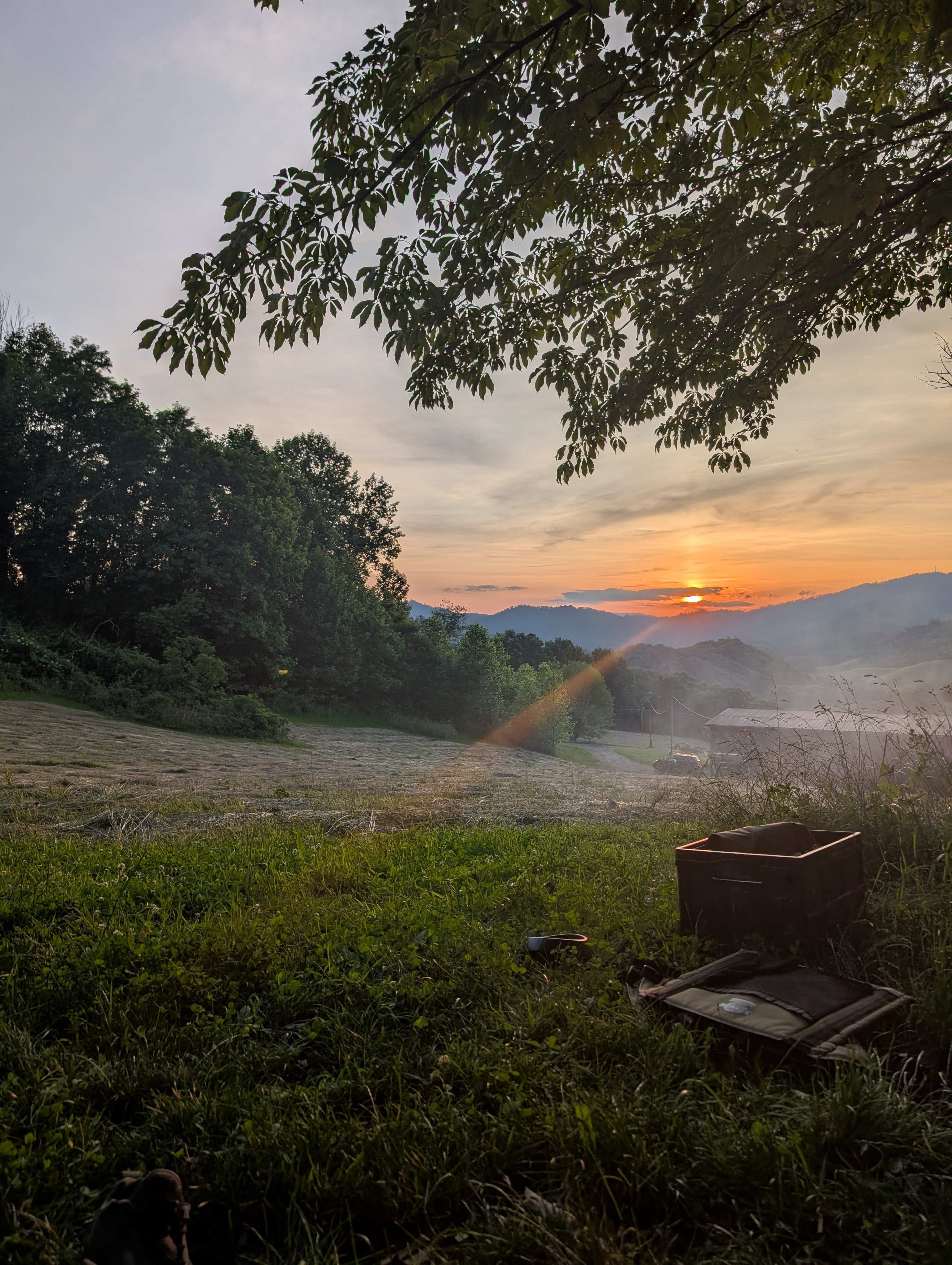 Evening view from our tent