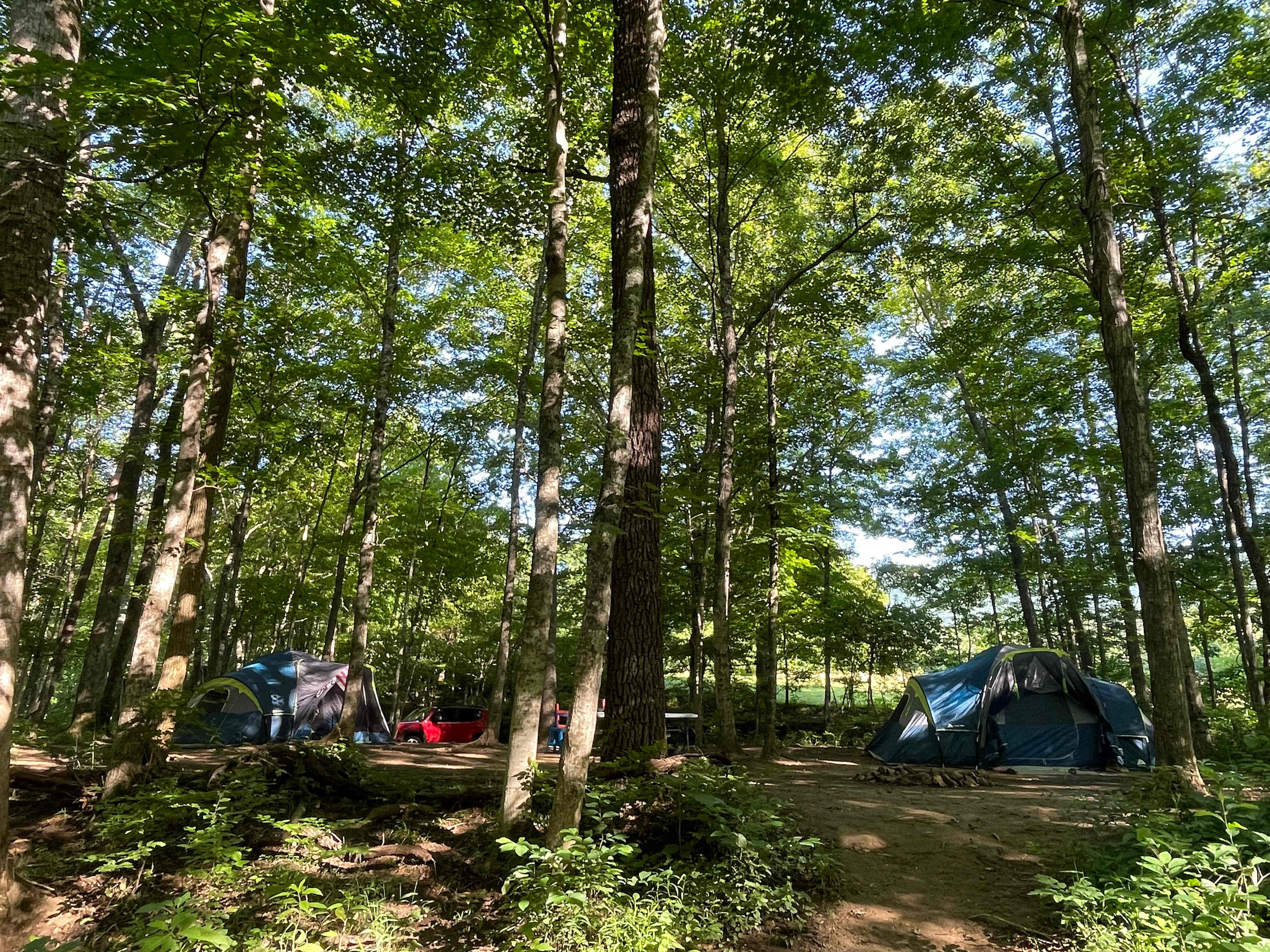 Savage Acres on Craig Creek