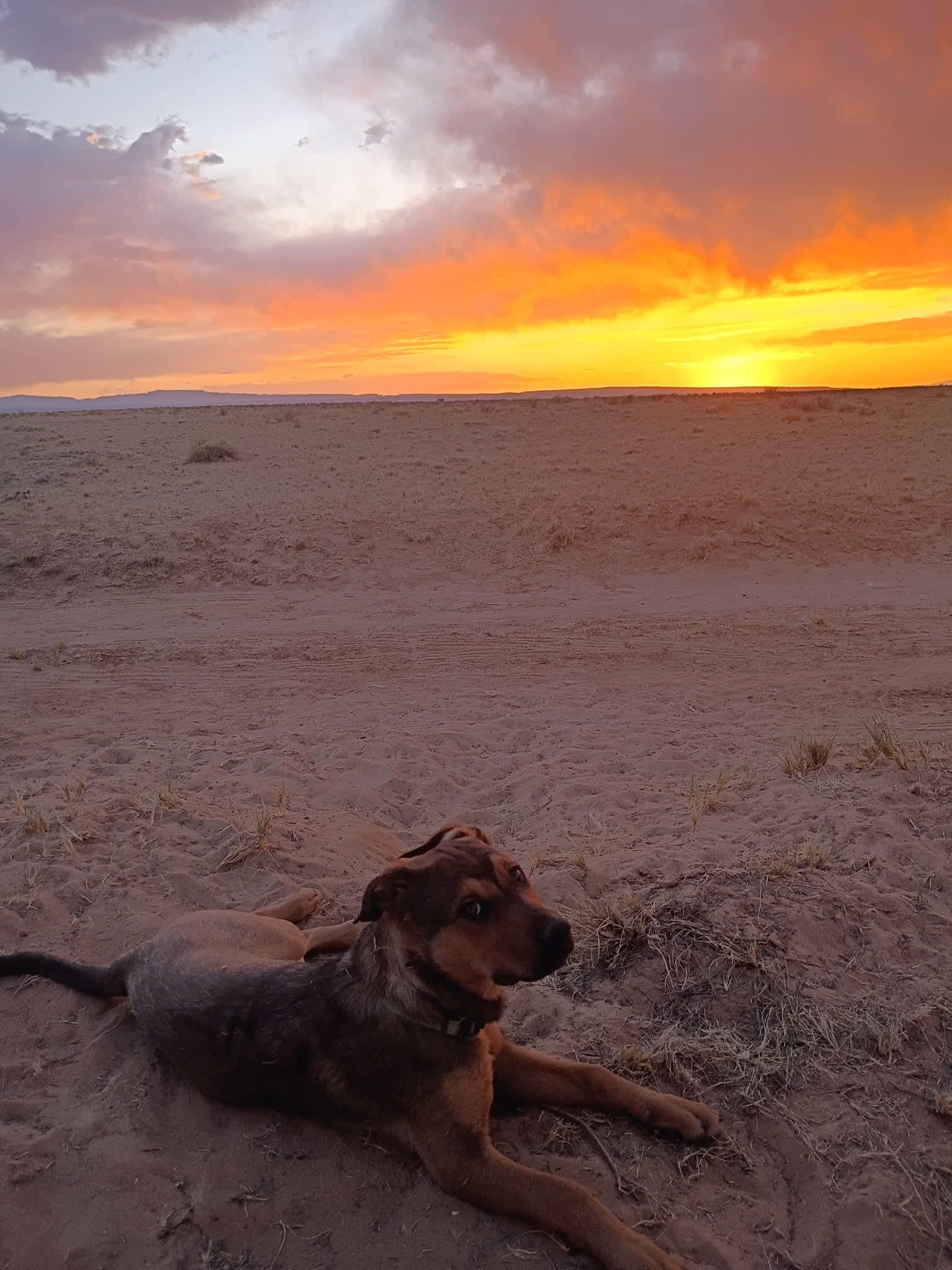 Unobstructed sunset views