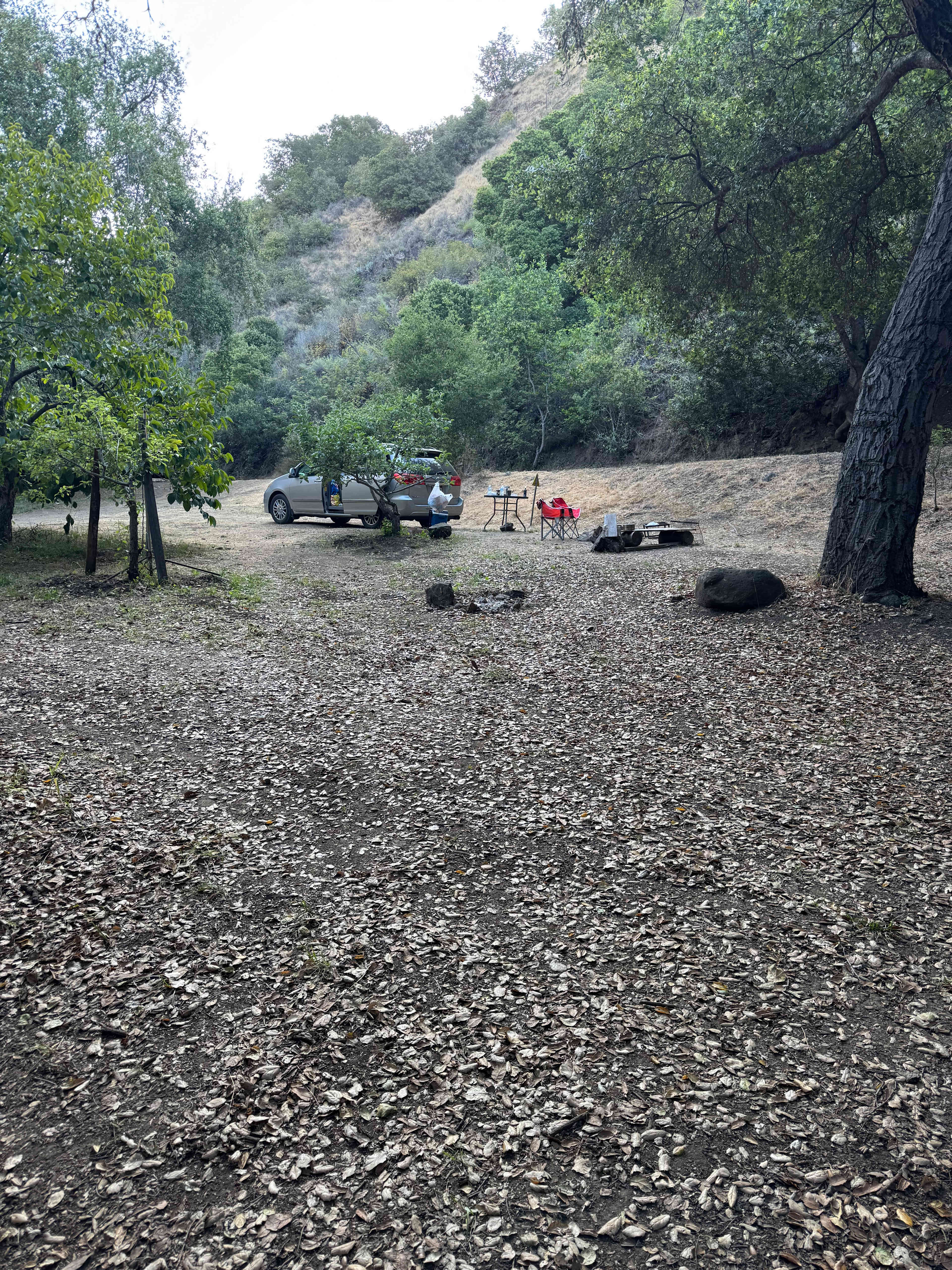 Creekside Camping and Mineral Baths