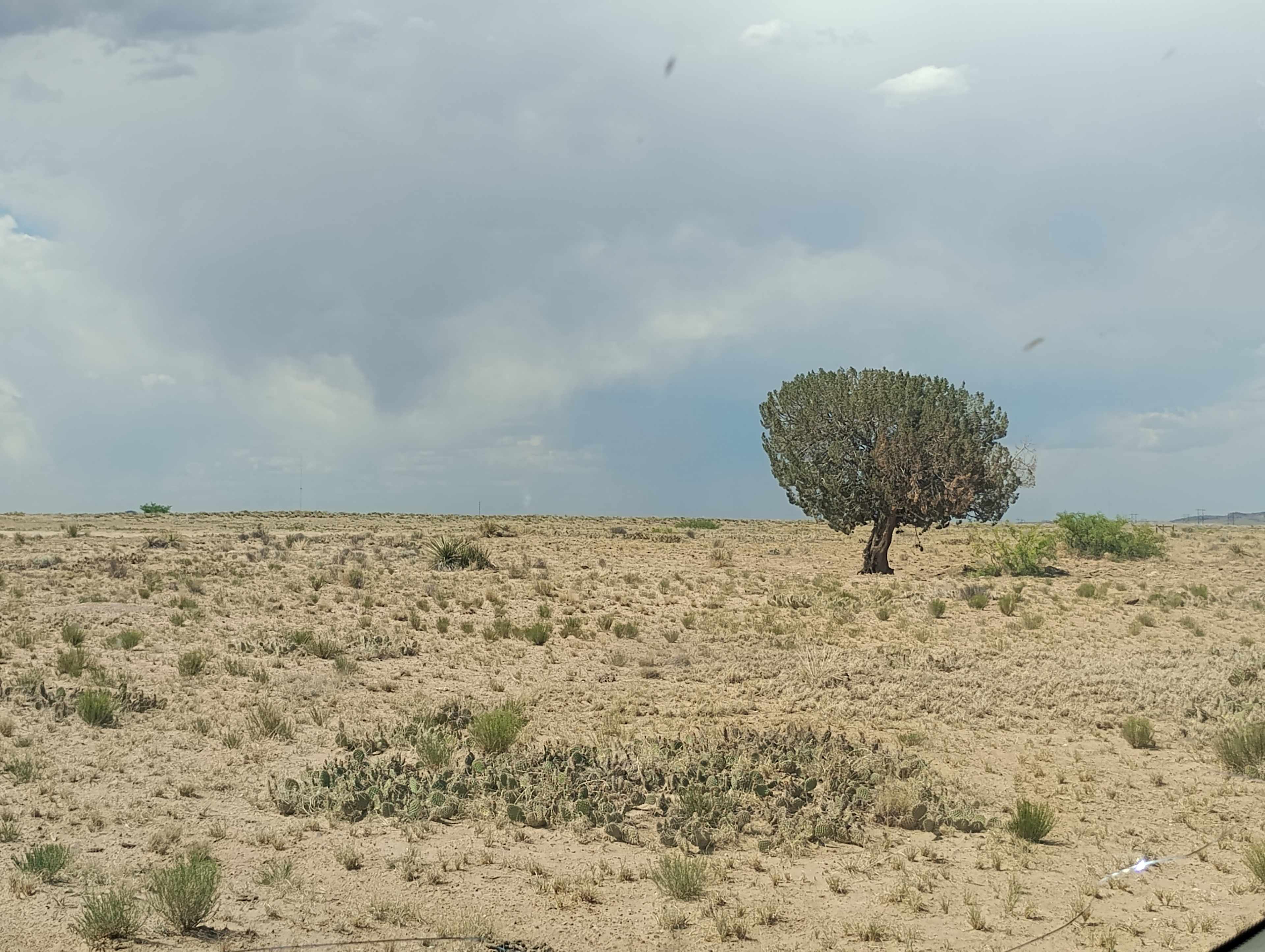 Desert Stargazing And Camping