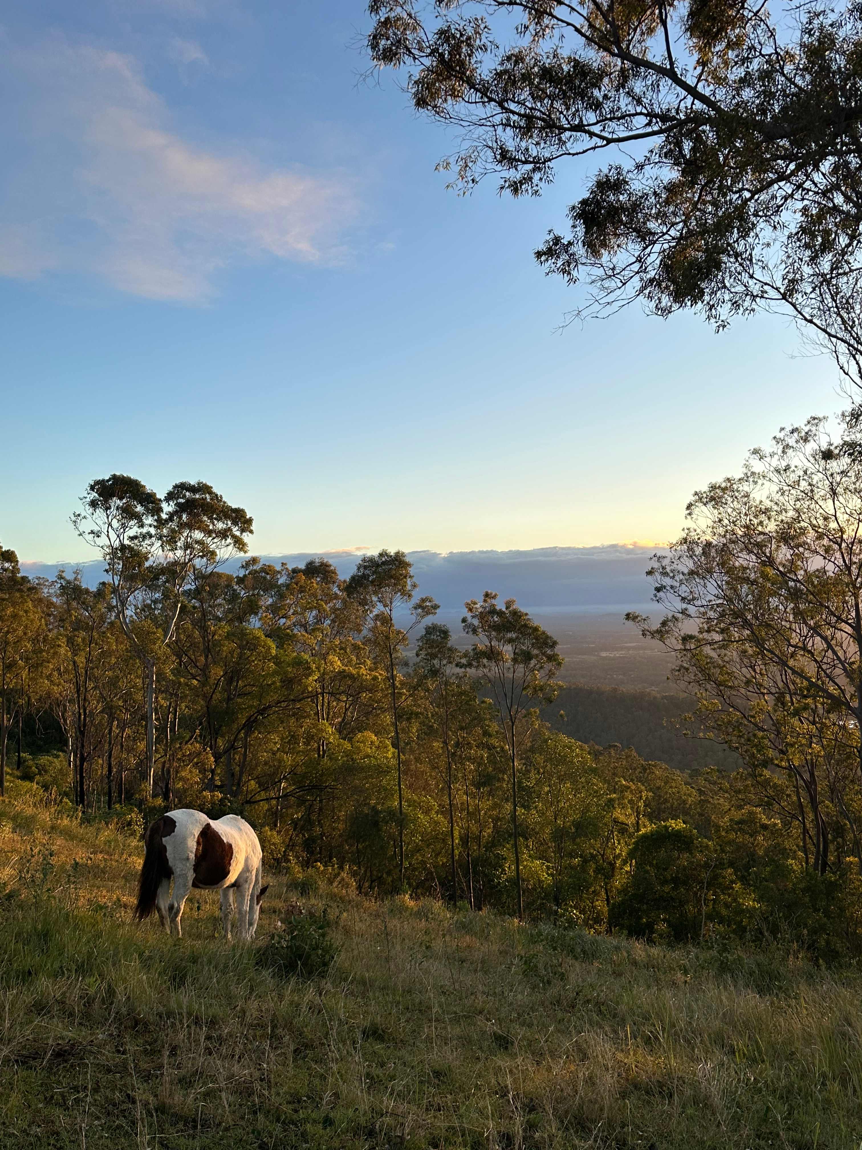 Rangetop Farm
