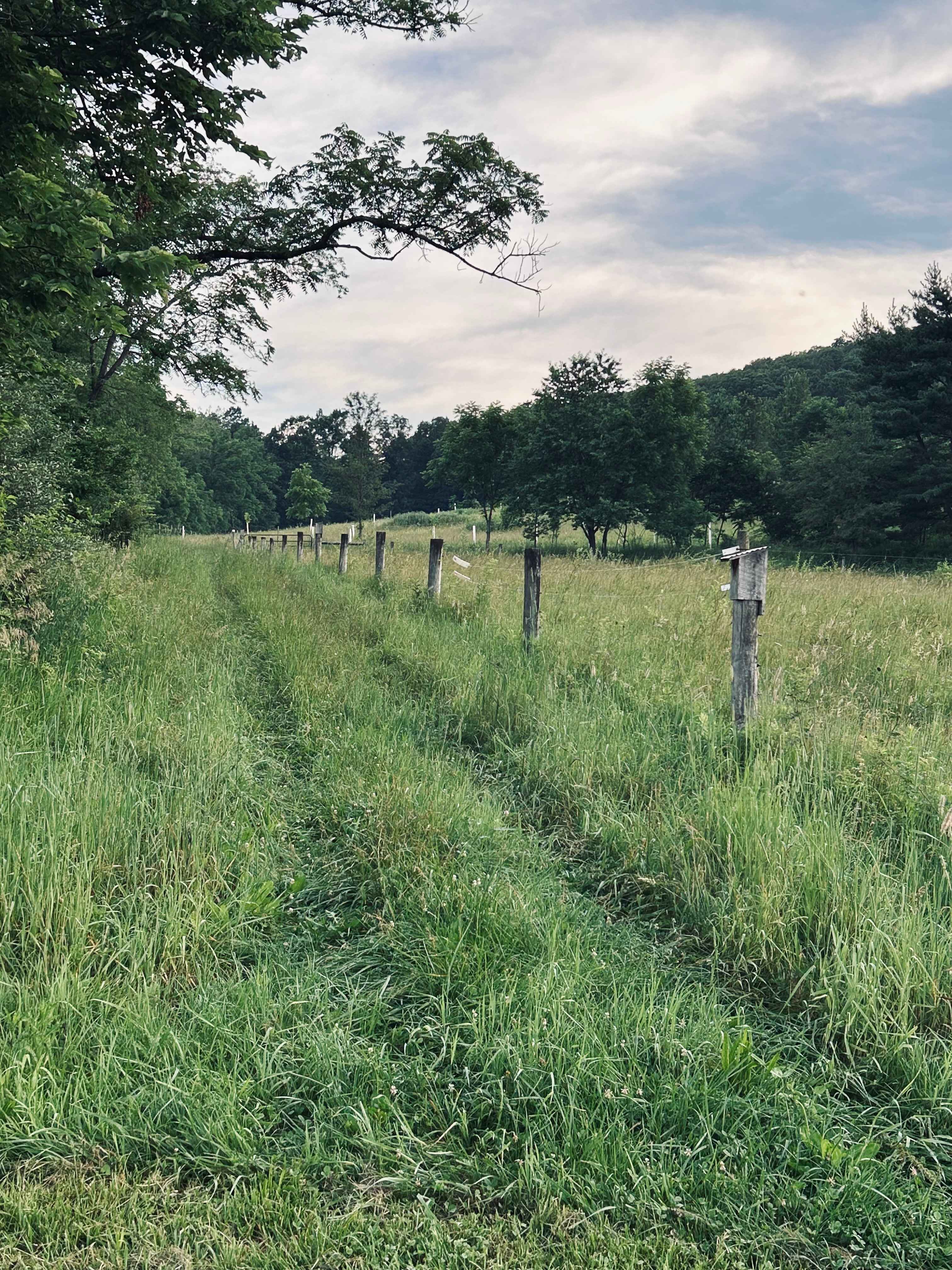 Greene Kitchen Farm