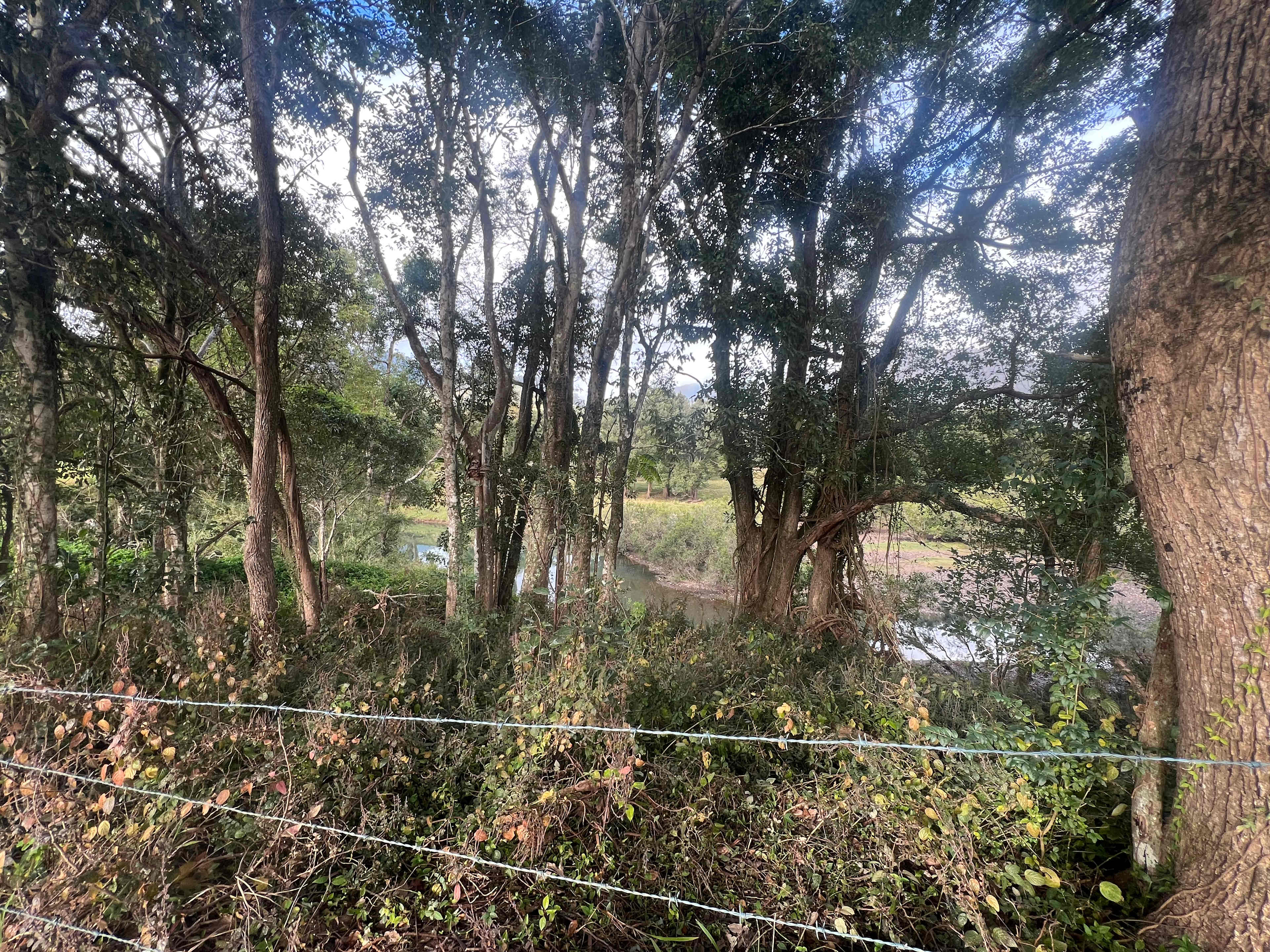 View from site 2. Beautiful! 