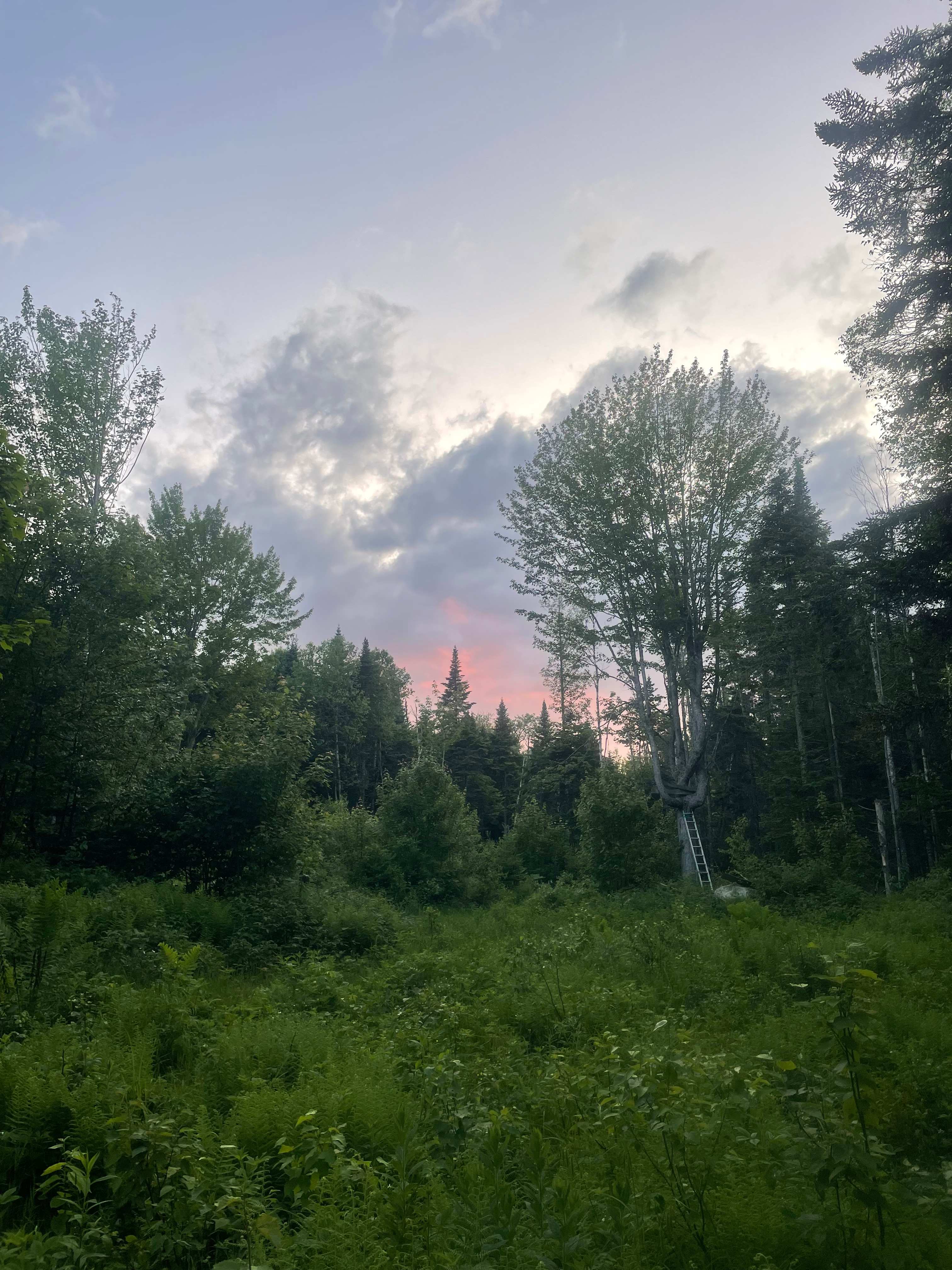 Burlwood Camping