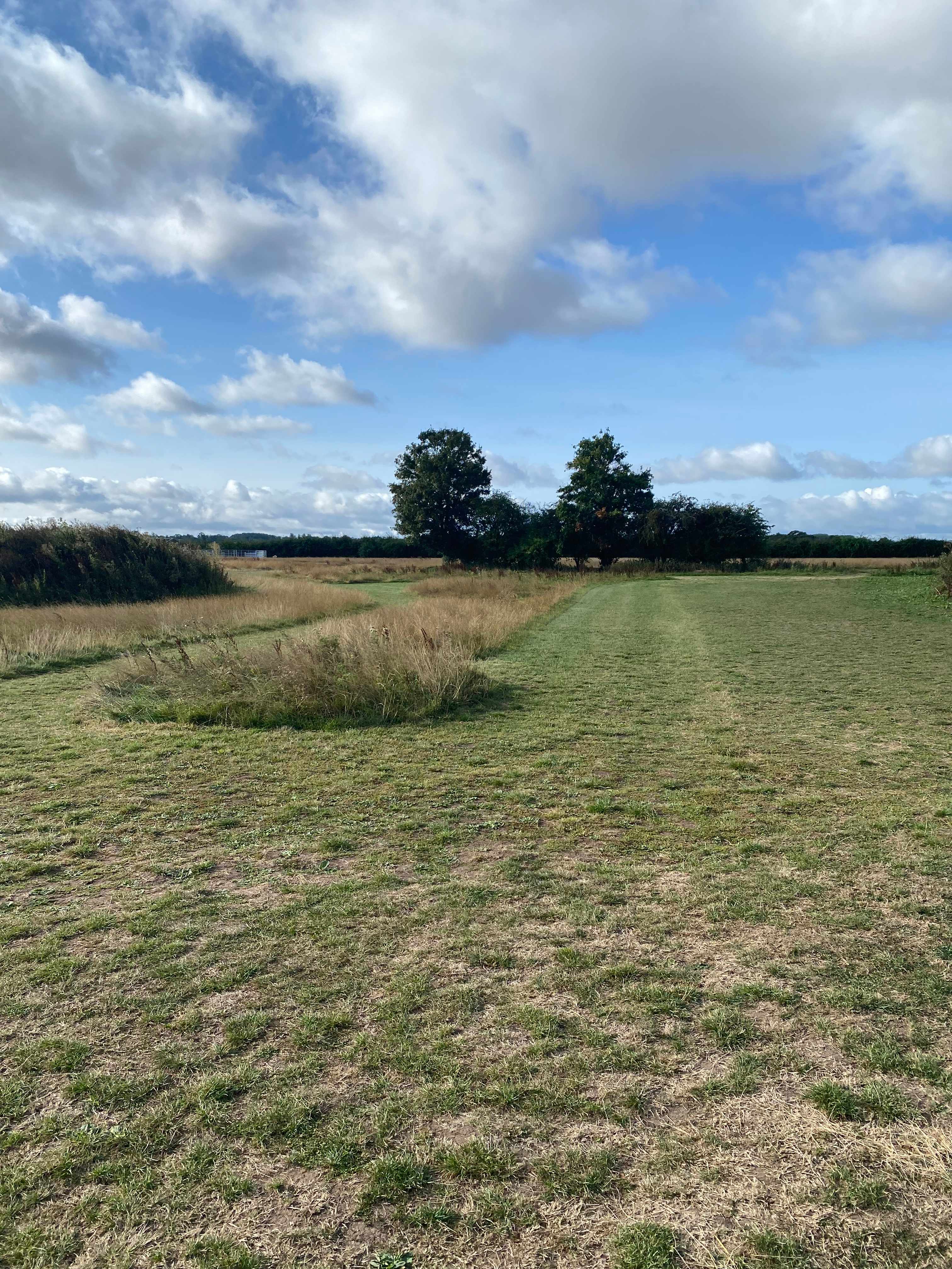 Owl Barn Farm Camping