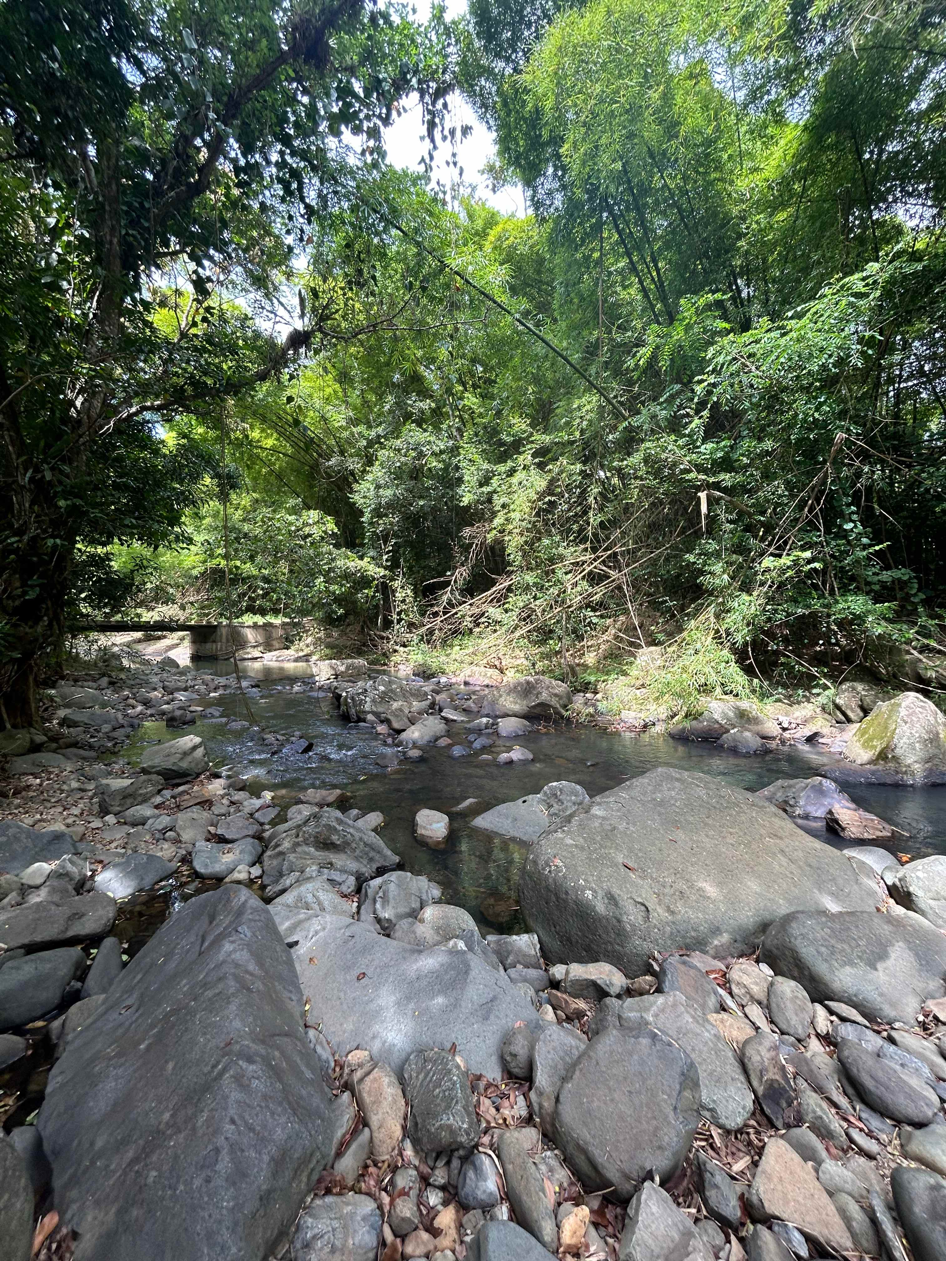 Hacienda Monte Rey near El Yunque
