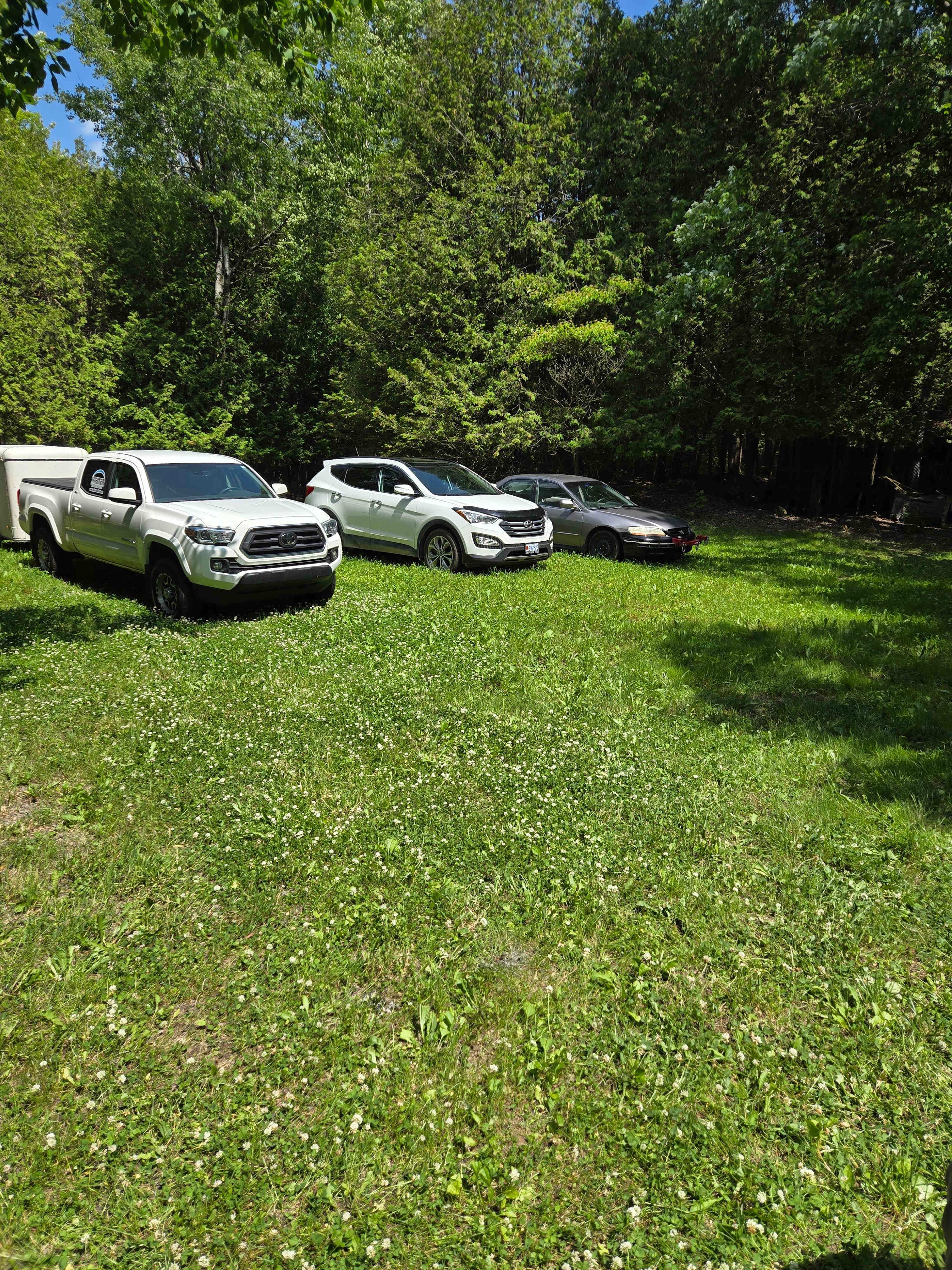 Lots of room for group parking 