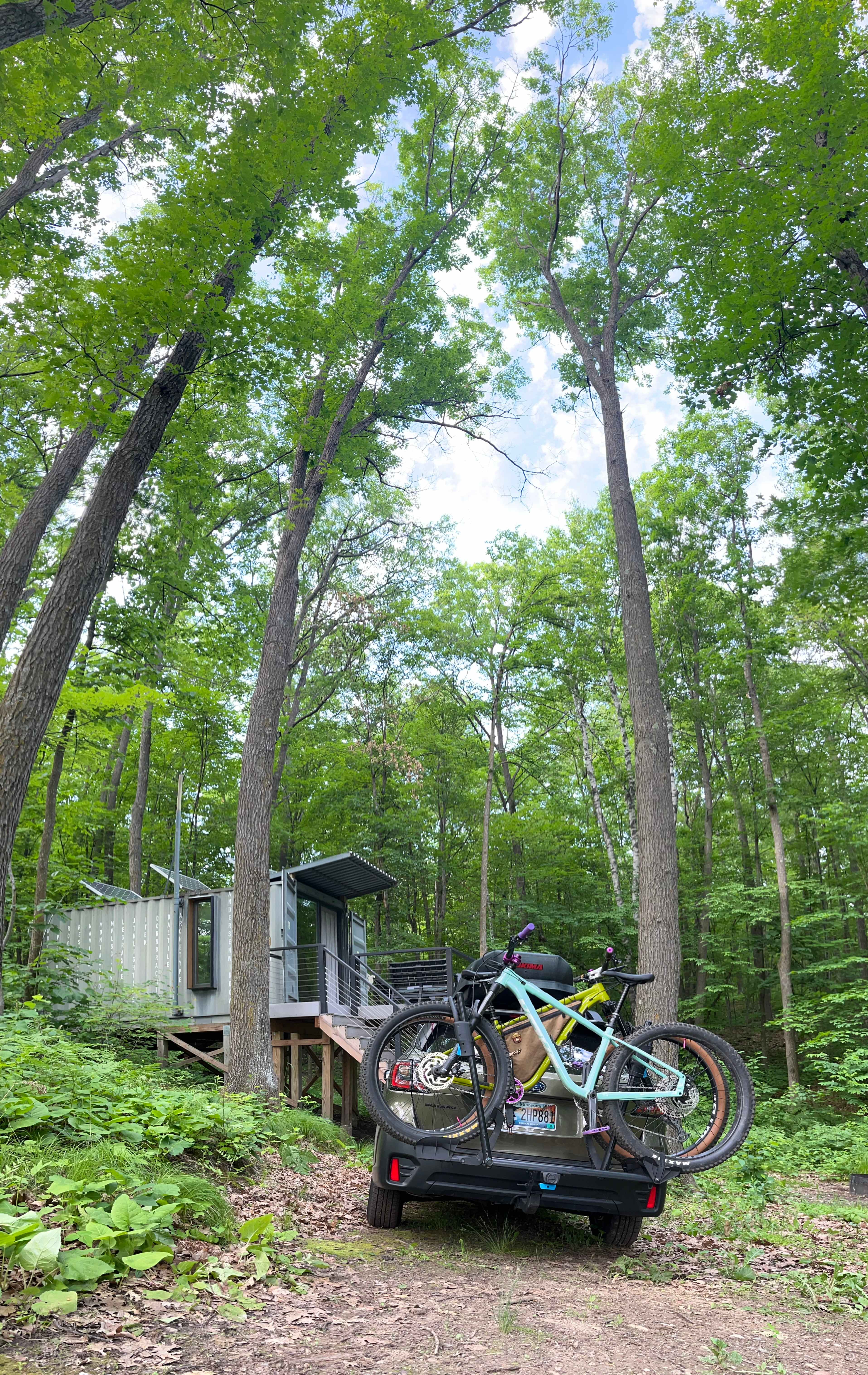 The Forest Container