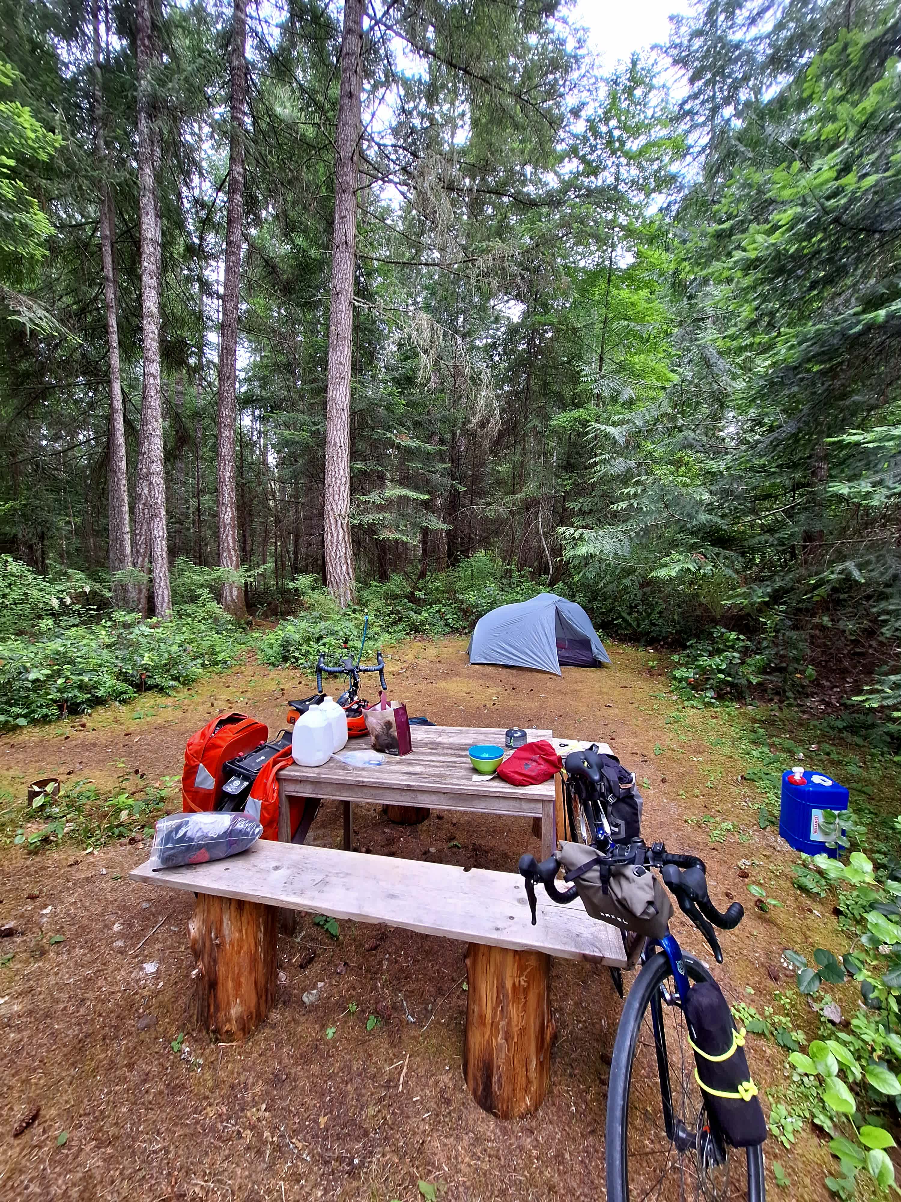 Rejeanne's Forest on Salt Spring