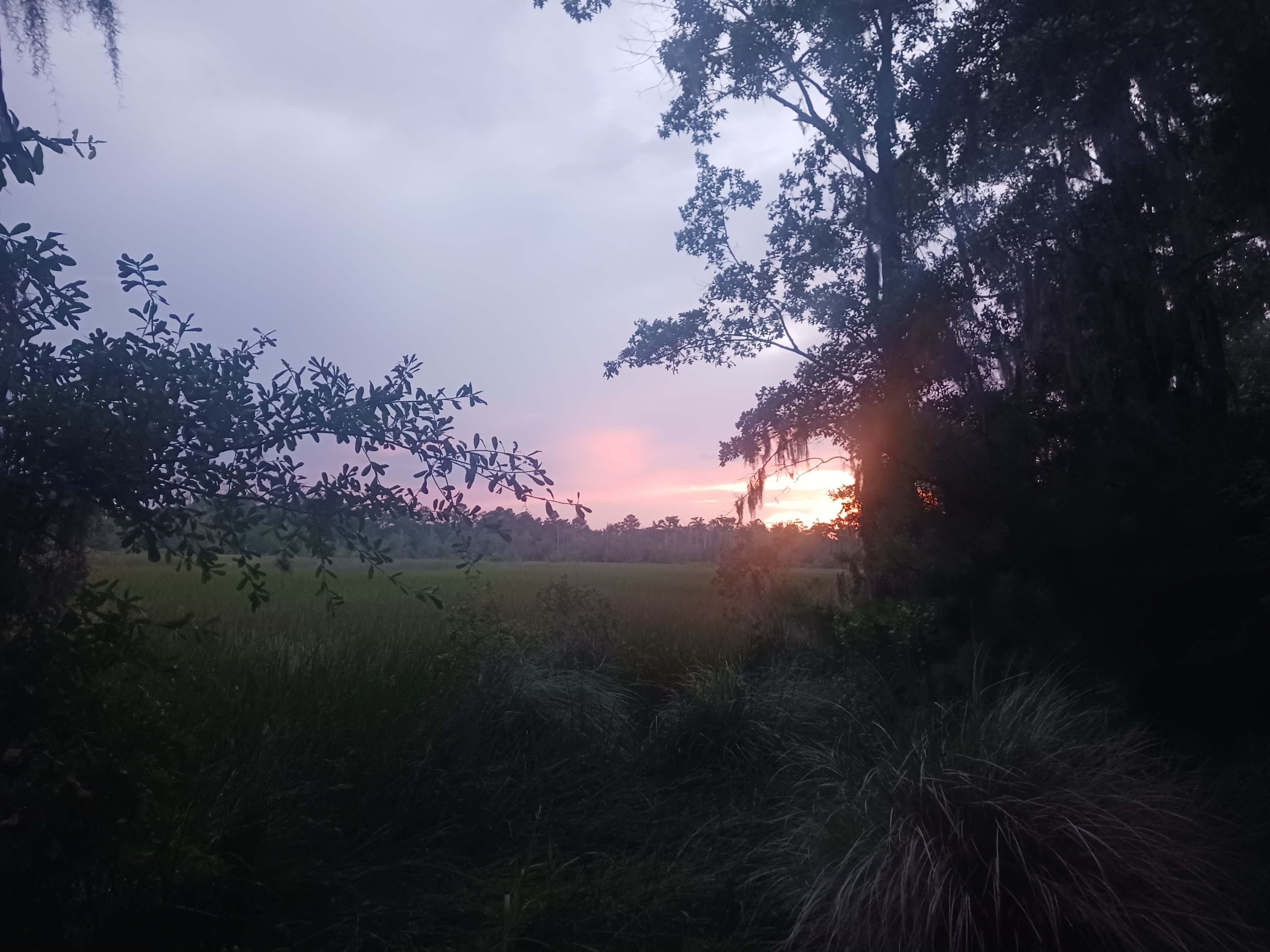 Cassabl Farm