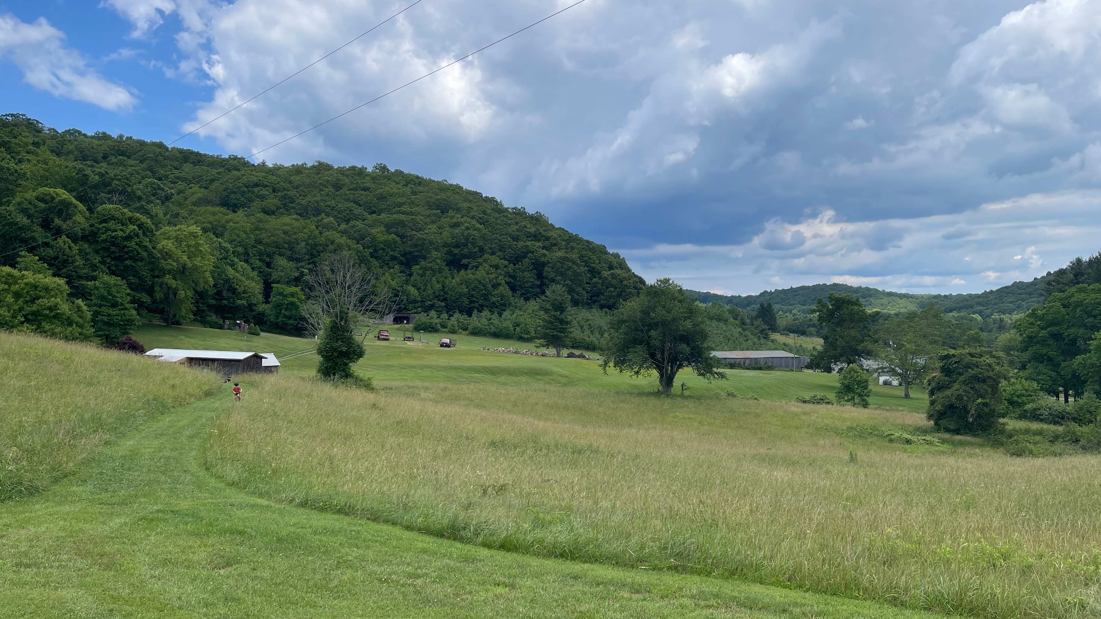 Country Meadows