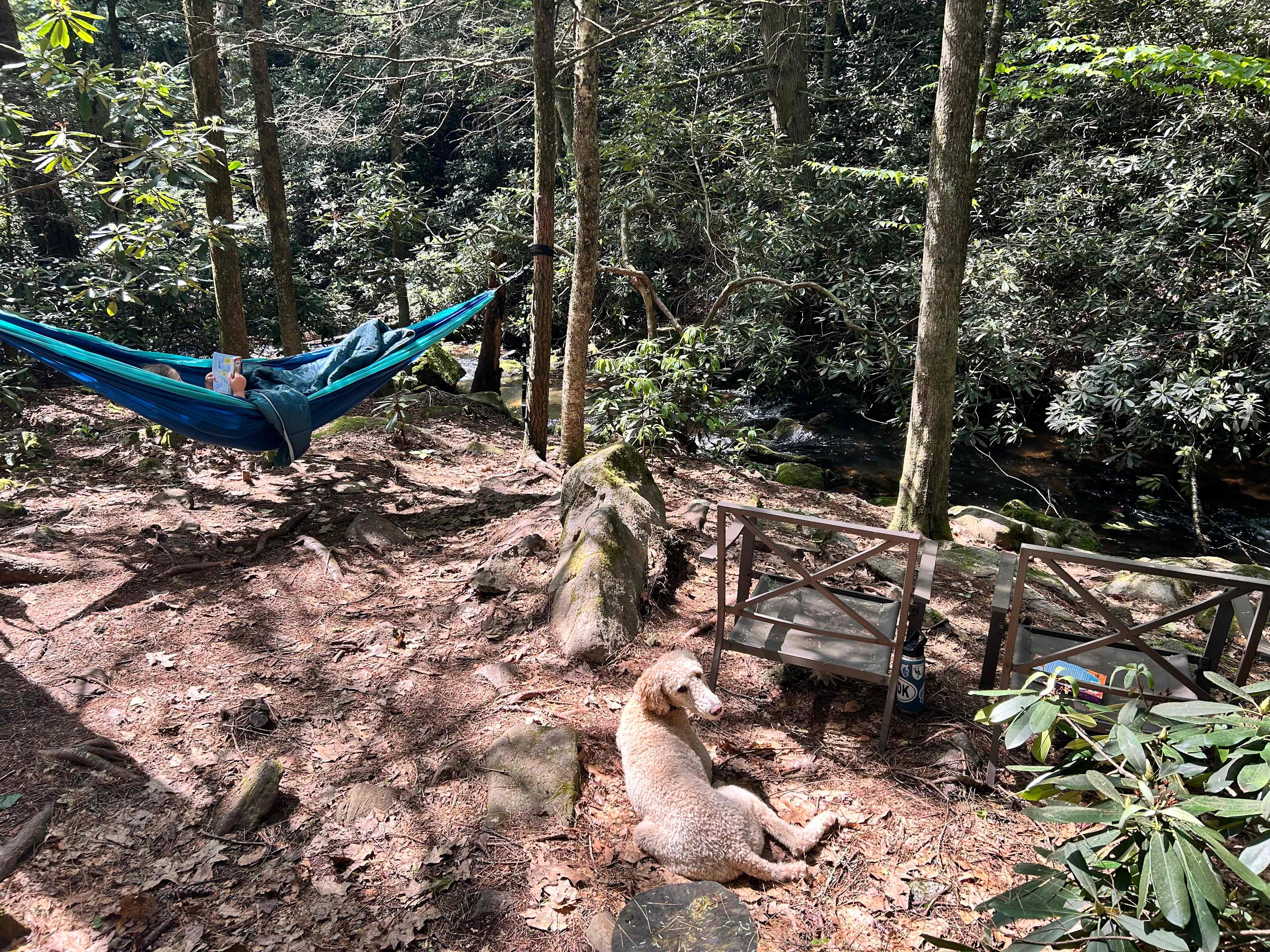 Camp Dietrich on Bear Creek